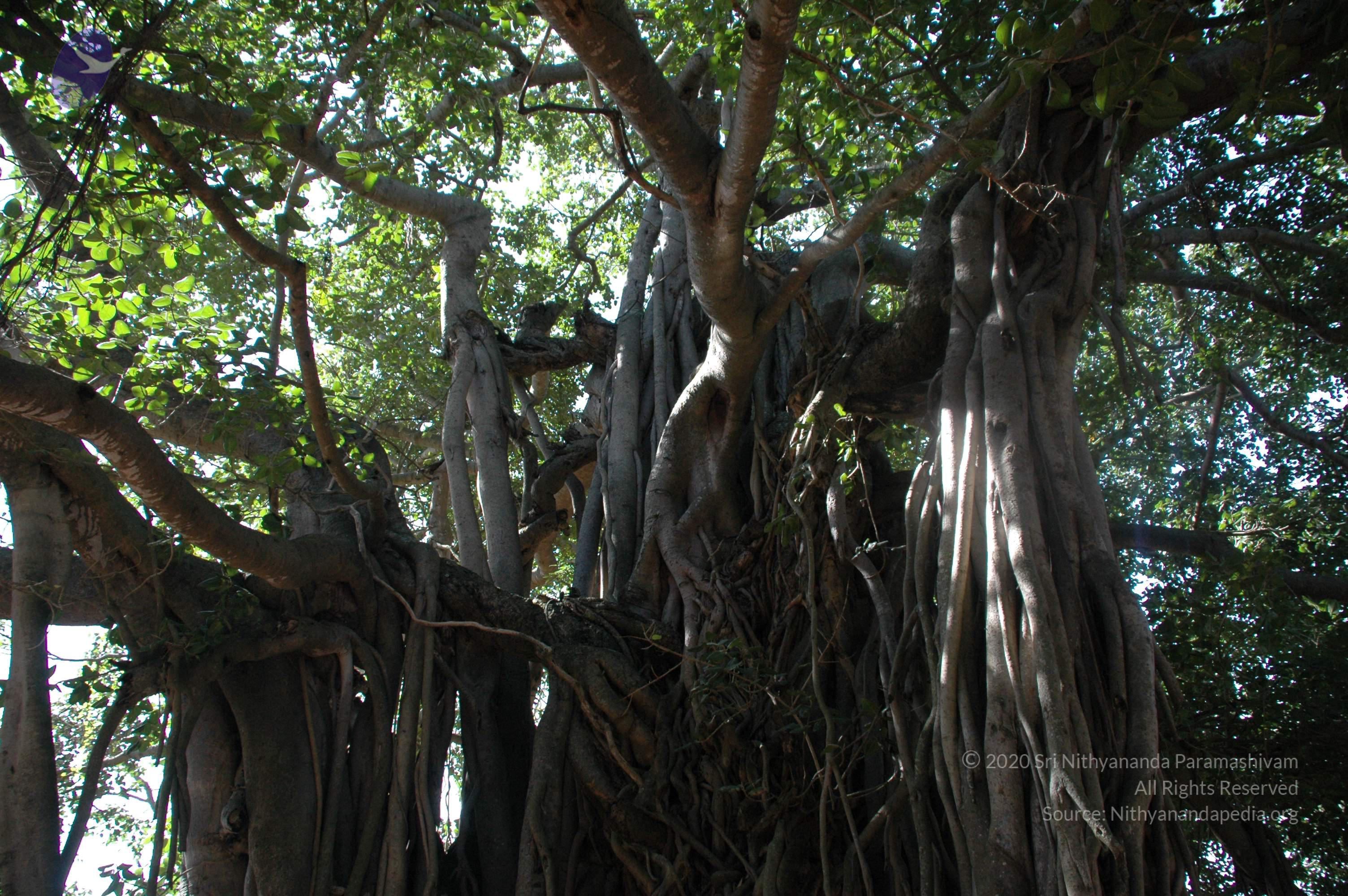 20100929_Photo_1014_DSC_6191_CMP_WM