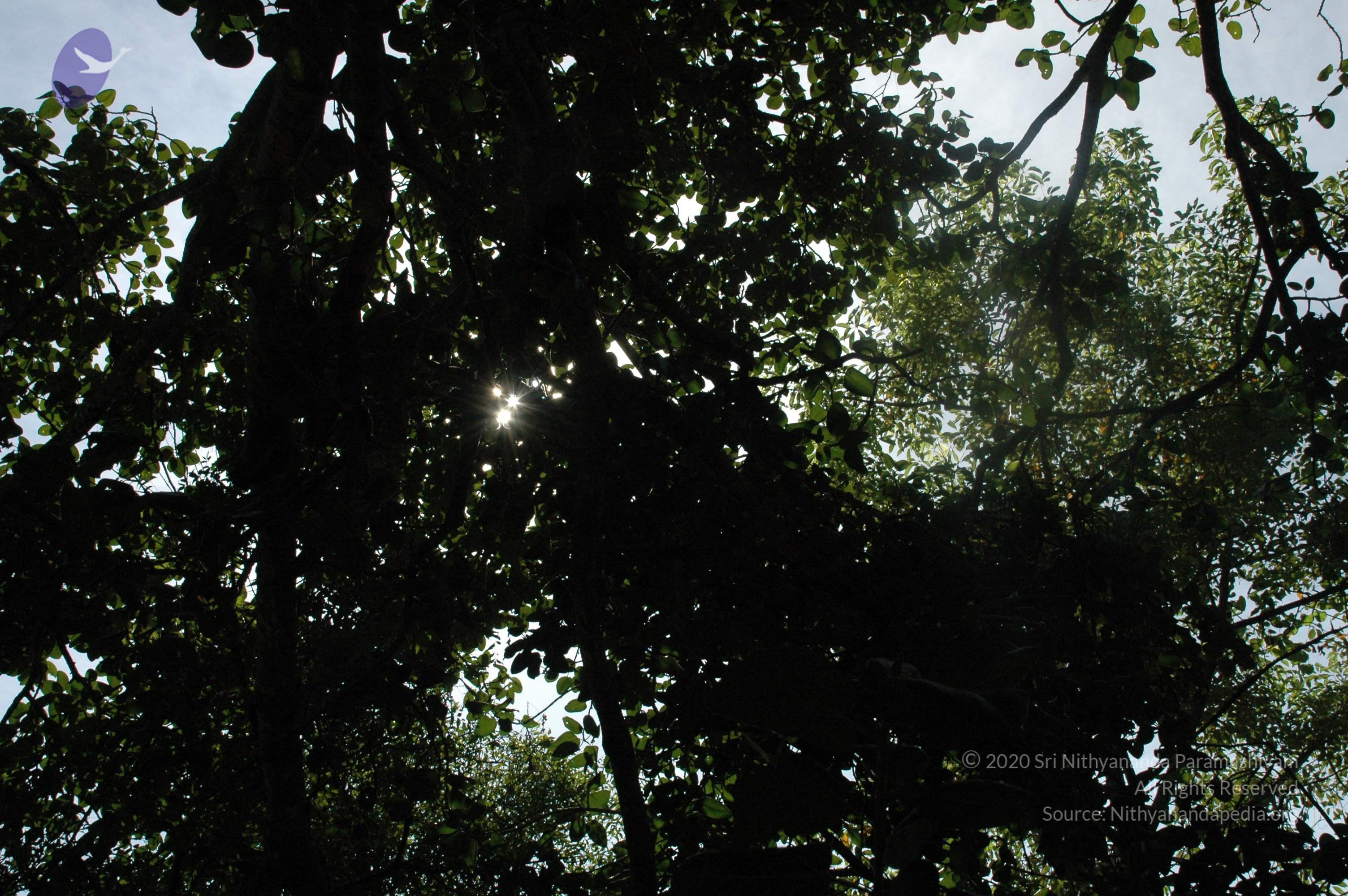 20100929_Photo_1016_DSC_6185_CMP_WM