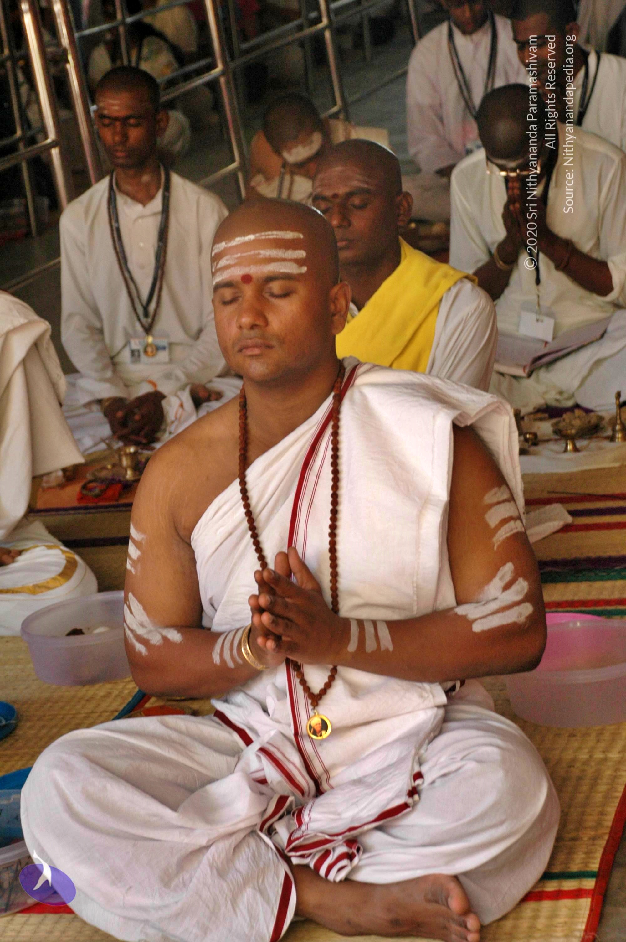 20100929_Photo_1003_DSC_6174_CMP_WM