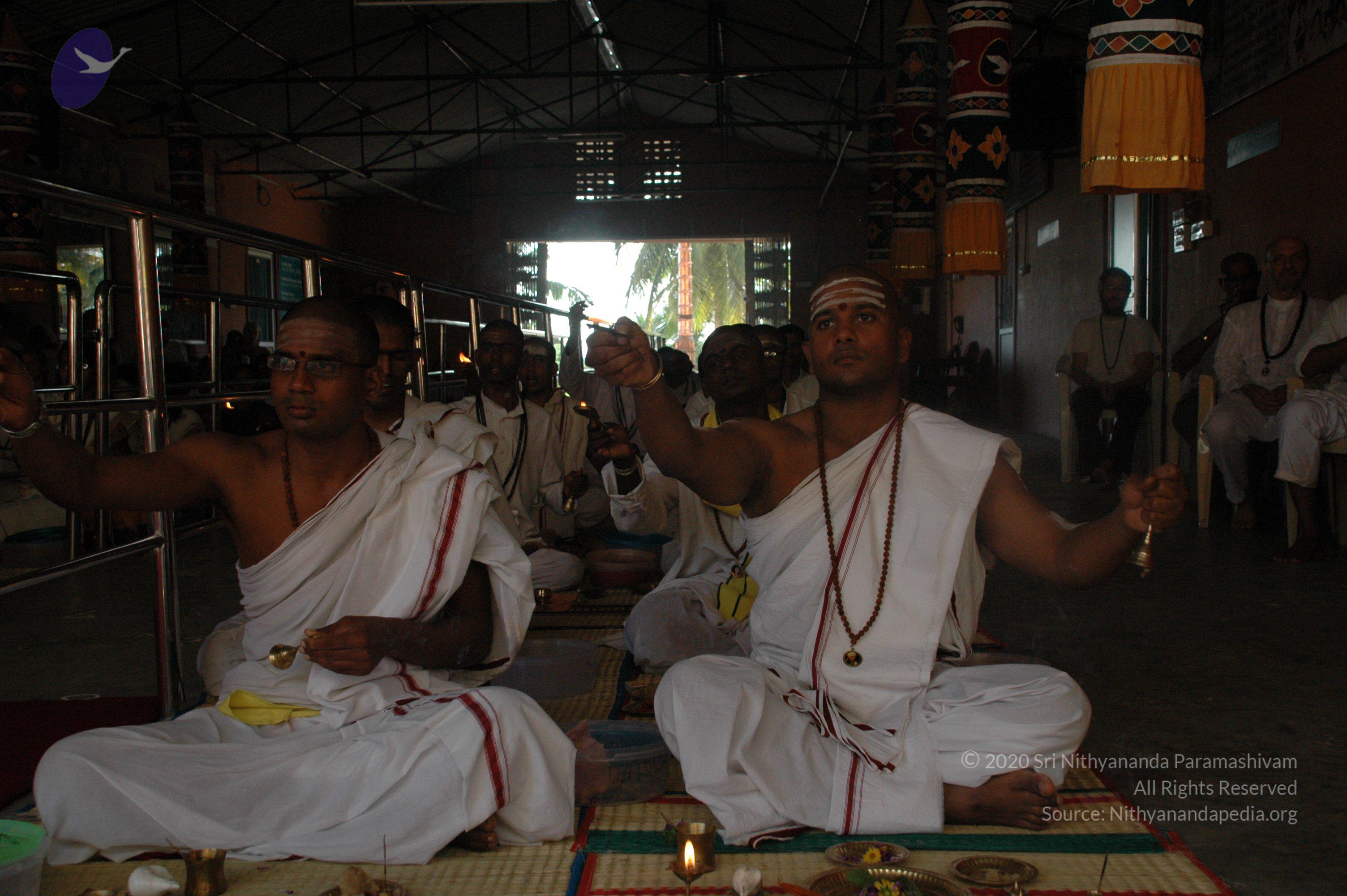 20100929_Photo_1006_DSC_6168_CMP_WM