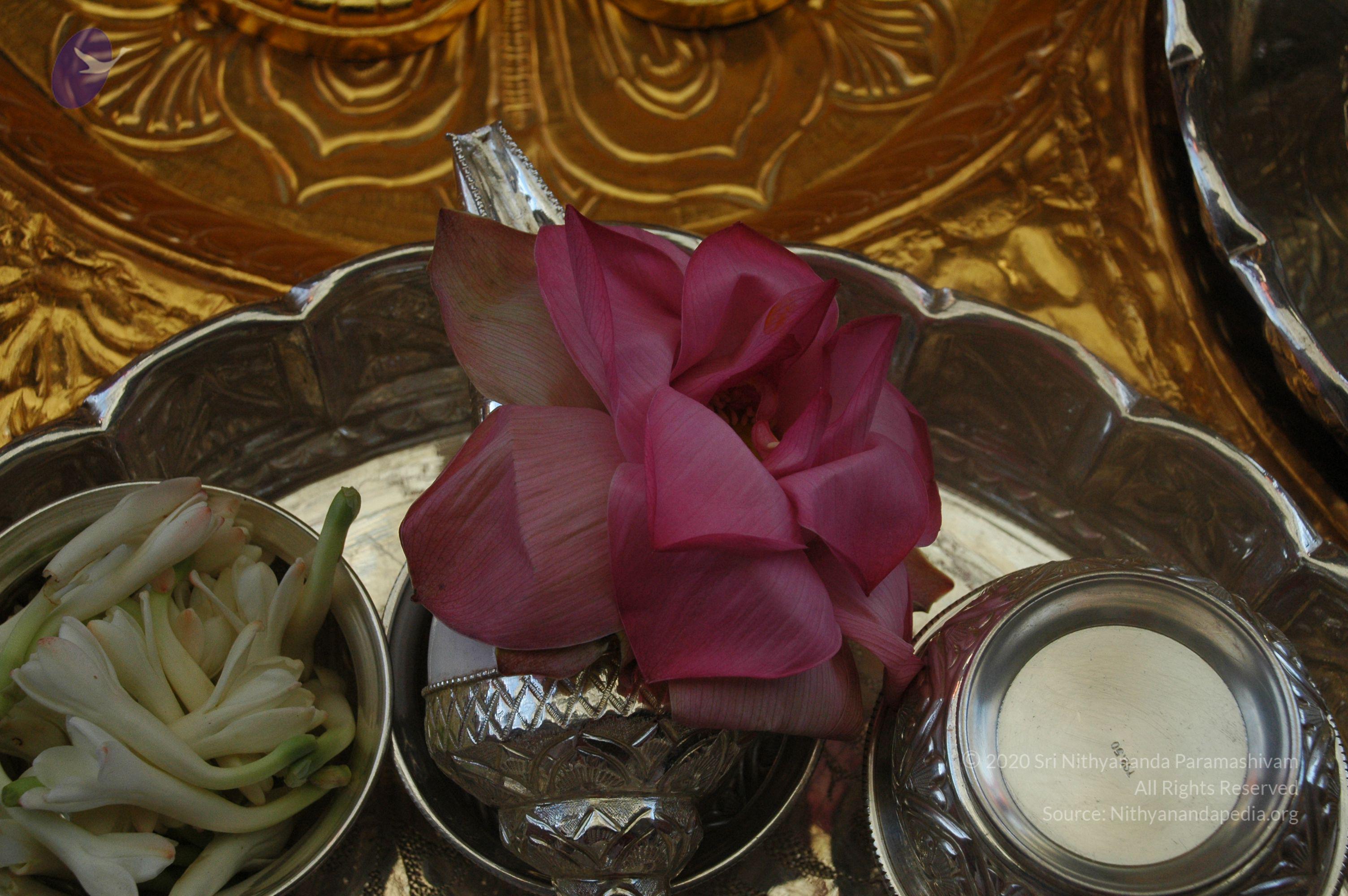 20100929_Photo_1023_DSC_6098_CMP_WM