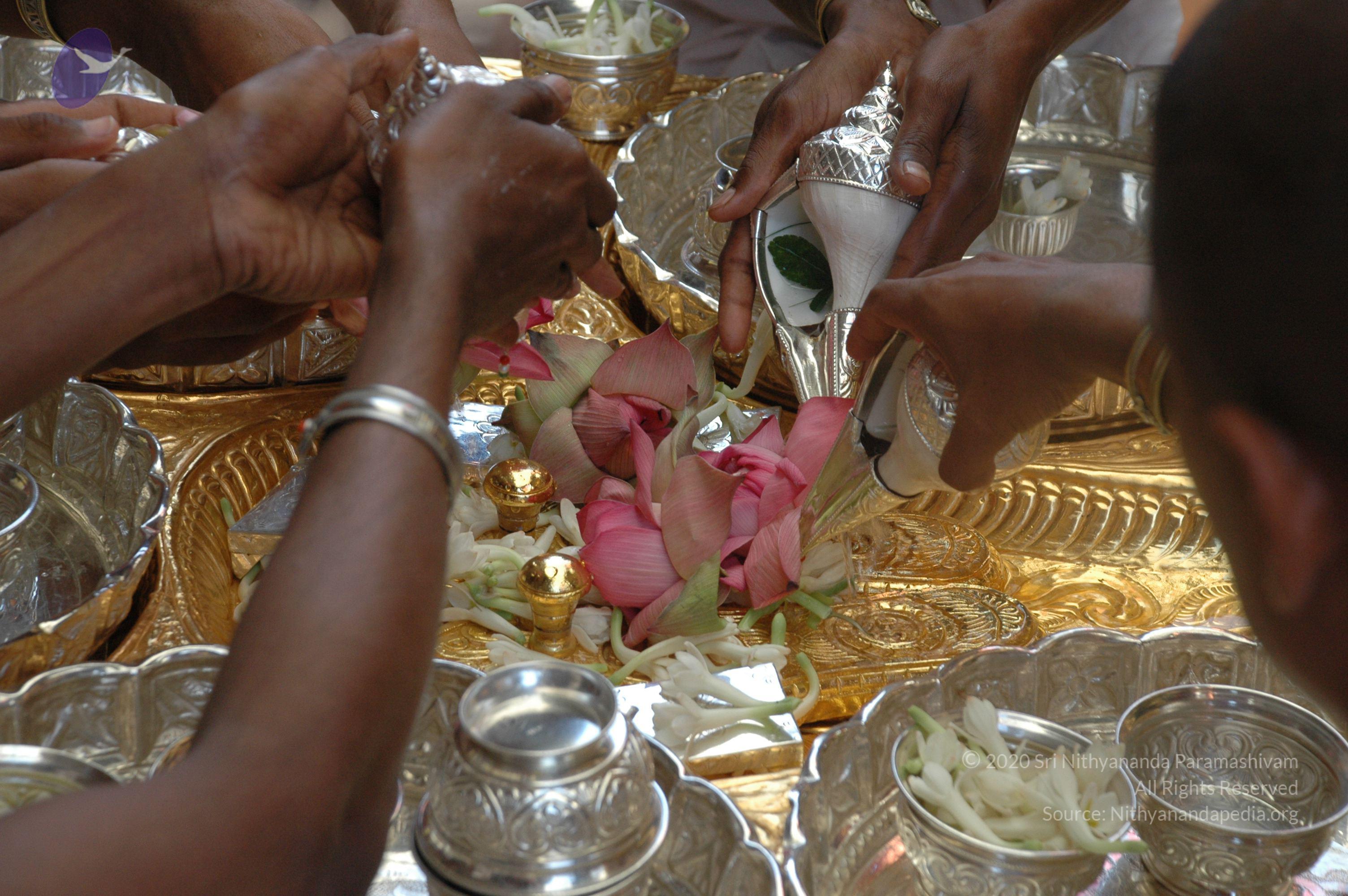 20100929_Photo_1025_DSC_6137_CMP_WM