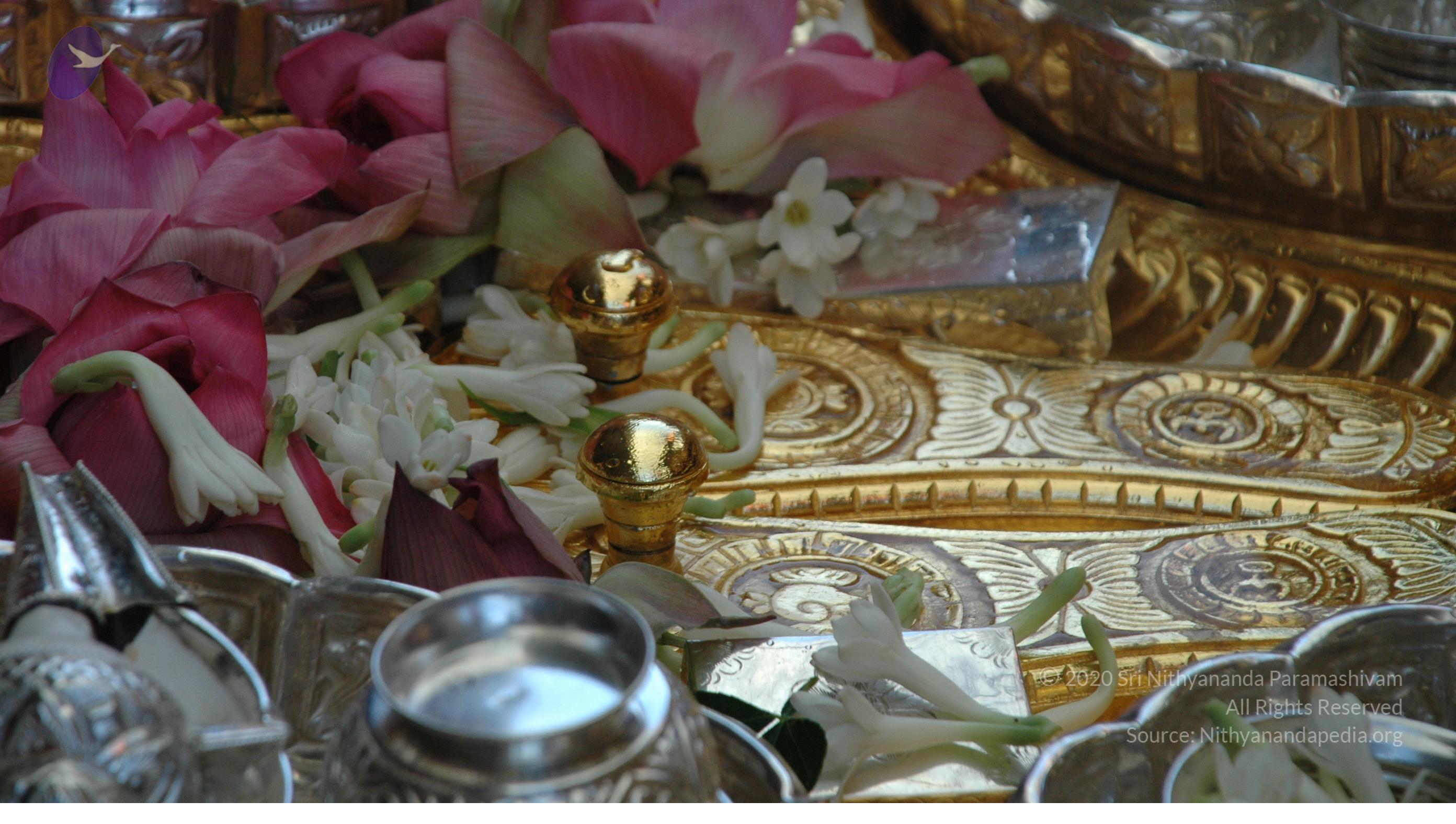 20100929_Photo_1033_DSC_6139_CMP_WM