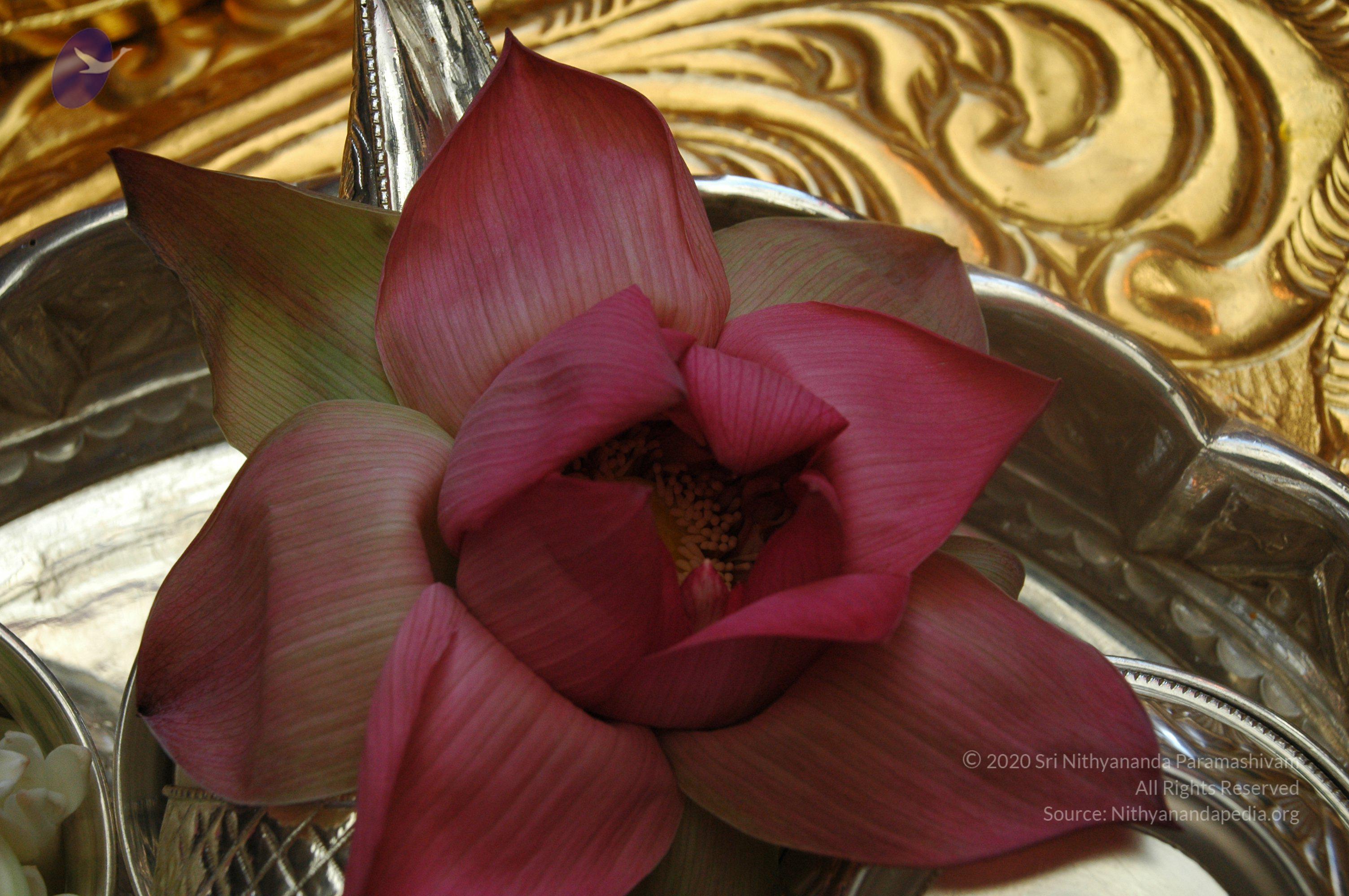 20100929_Photo_1047_DSC_6099_CMP_WM