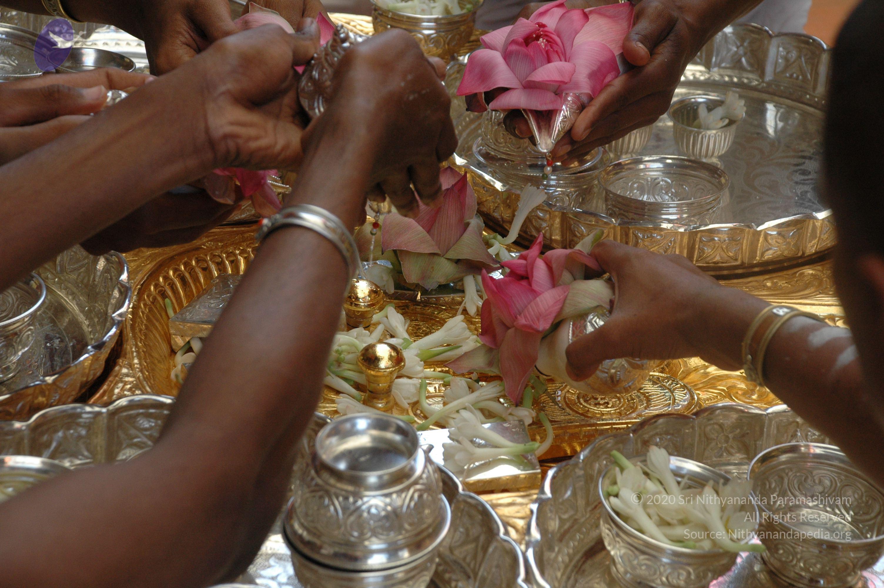 20100929_Photo_1053_DSC_6136_CMP_WM