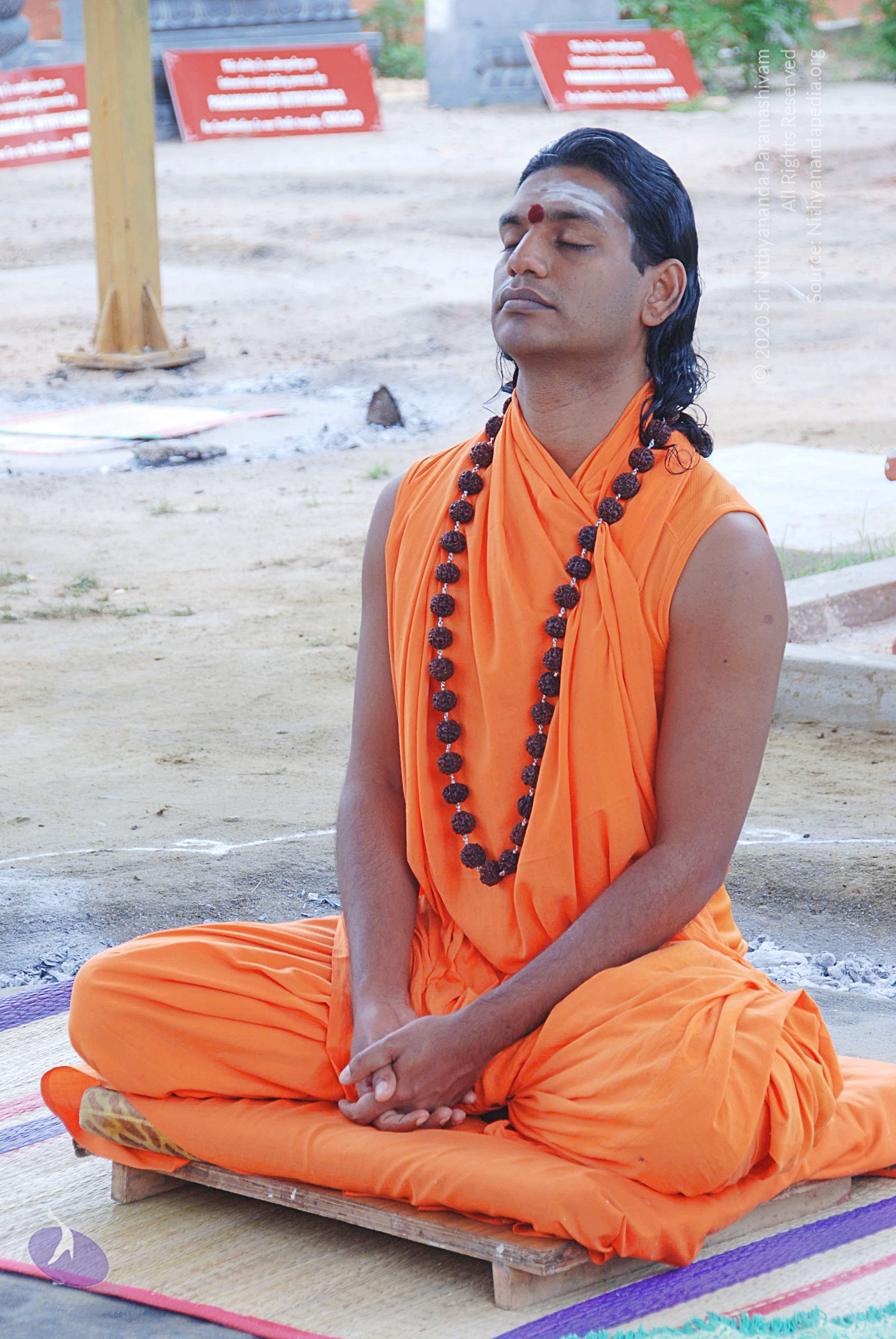 20100907_Photo_1016_DSC_8521_CMP_WM