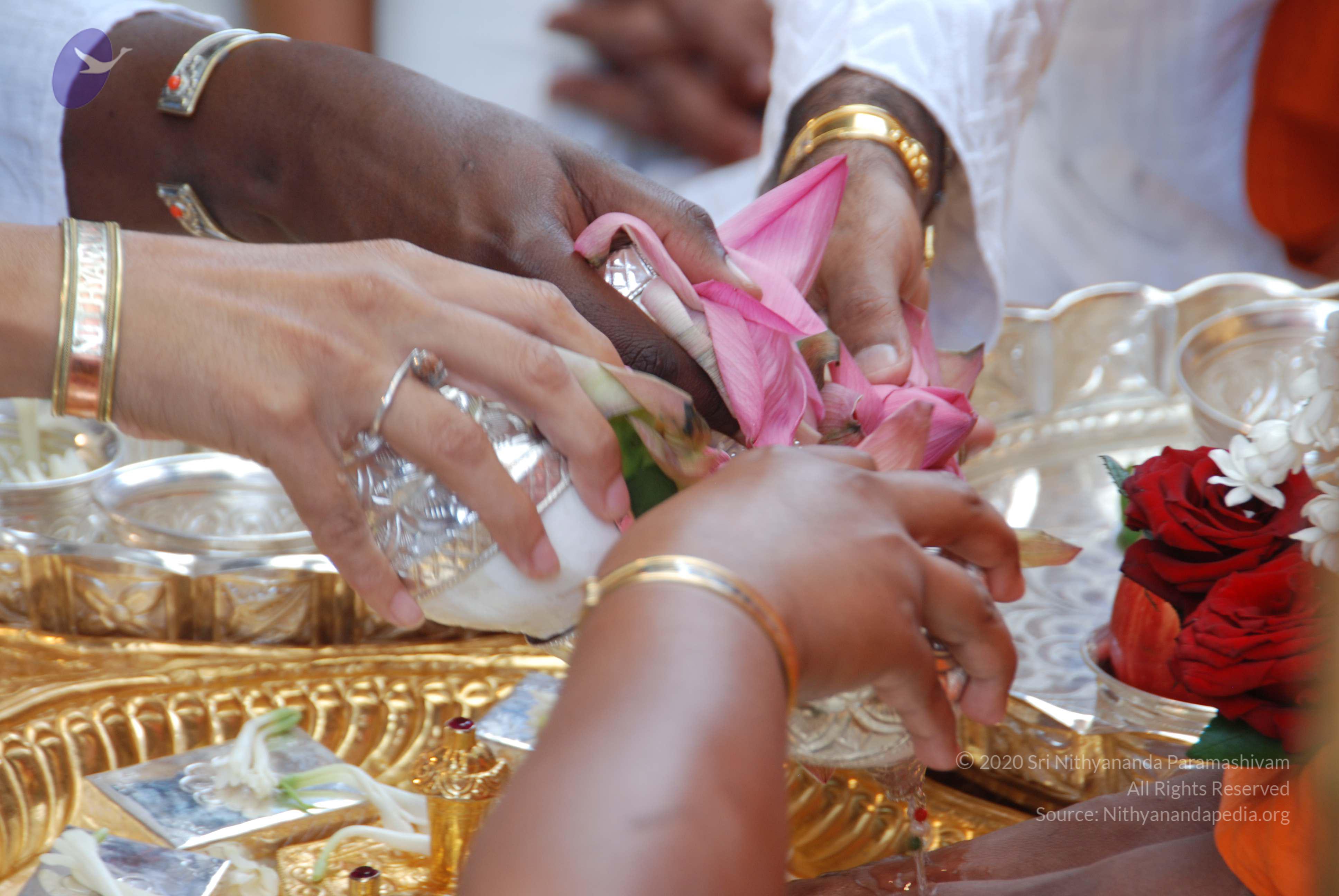 20100907_Photo_1011_DSC_8613_CMP_WM