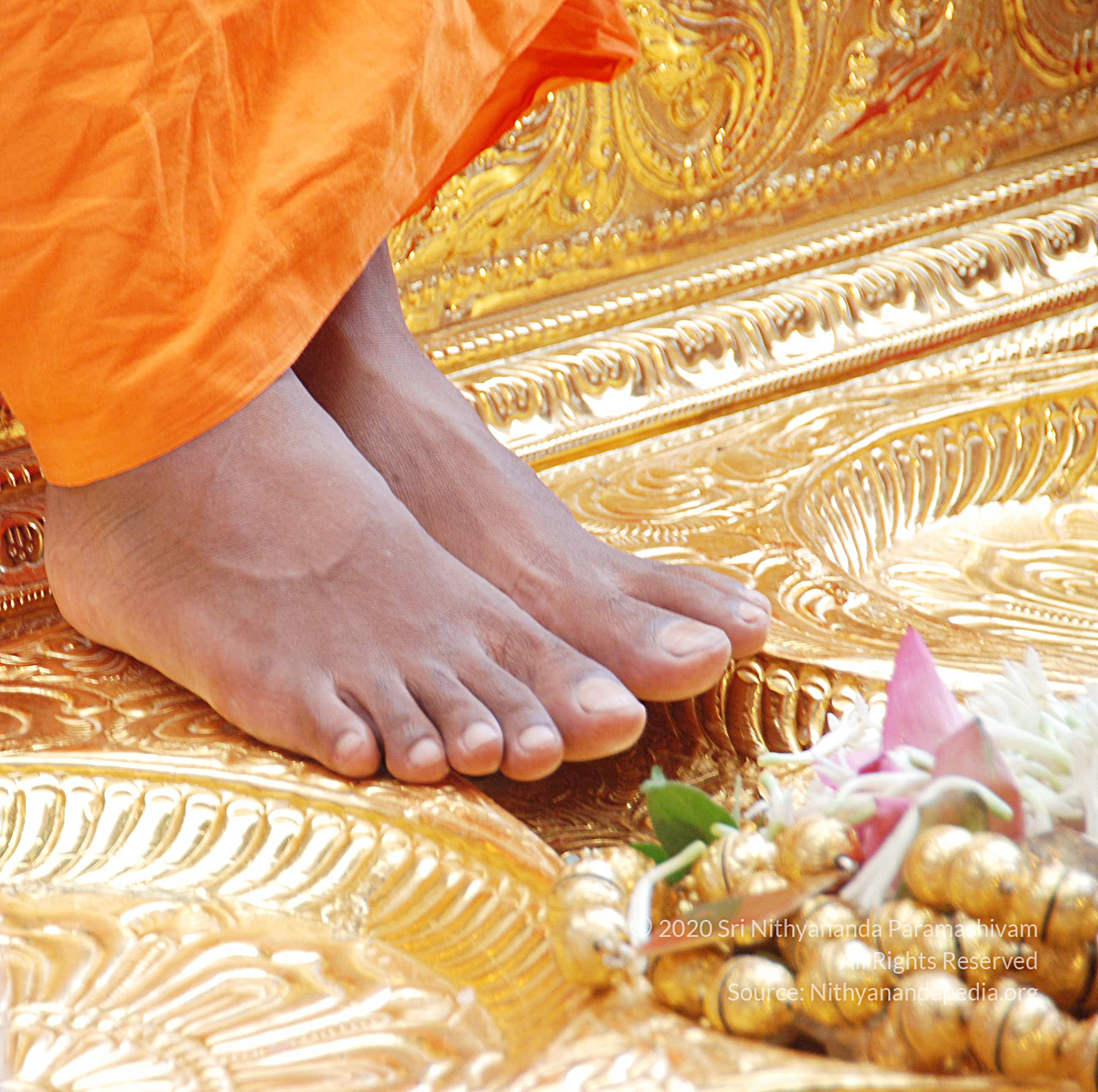 20100907_Photo_1014_DSC_8702_CMP_WM