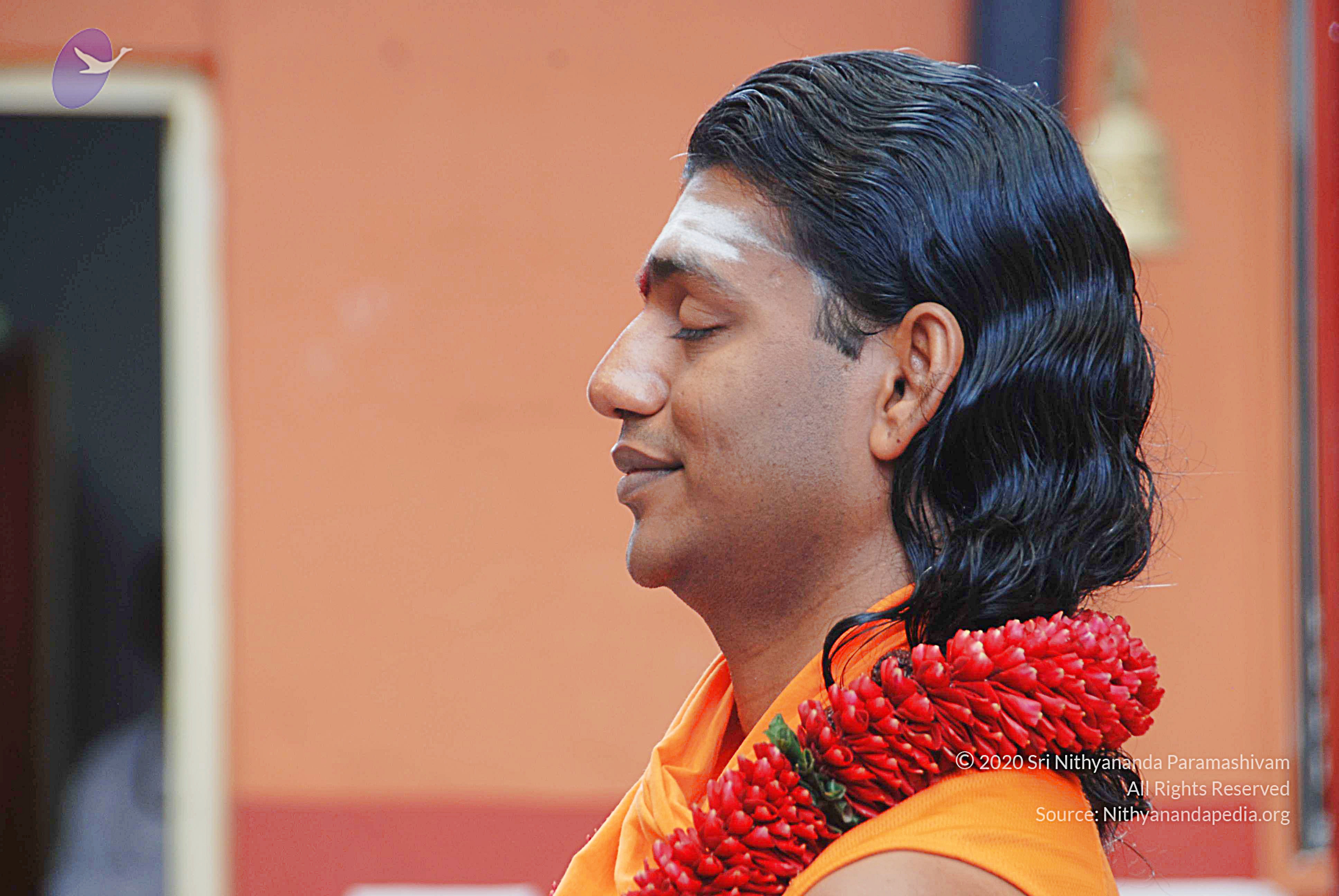 20100907_Photo_1018_DSC_8609_CMP_WM