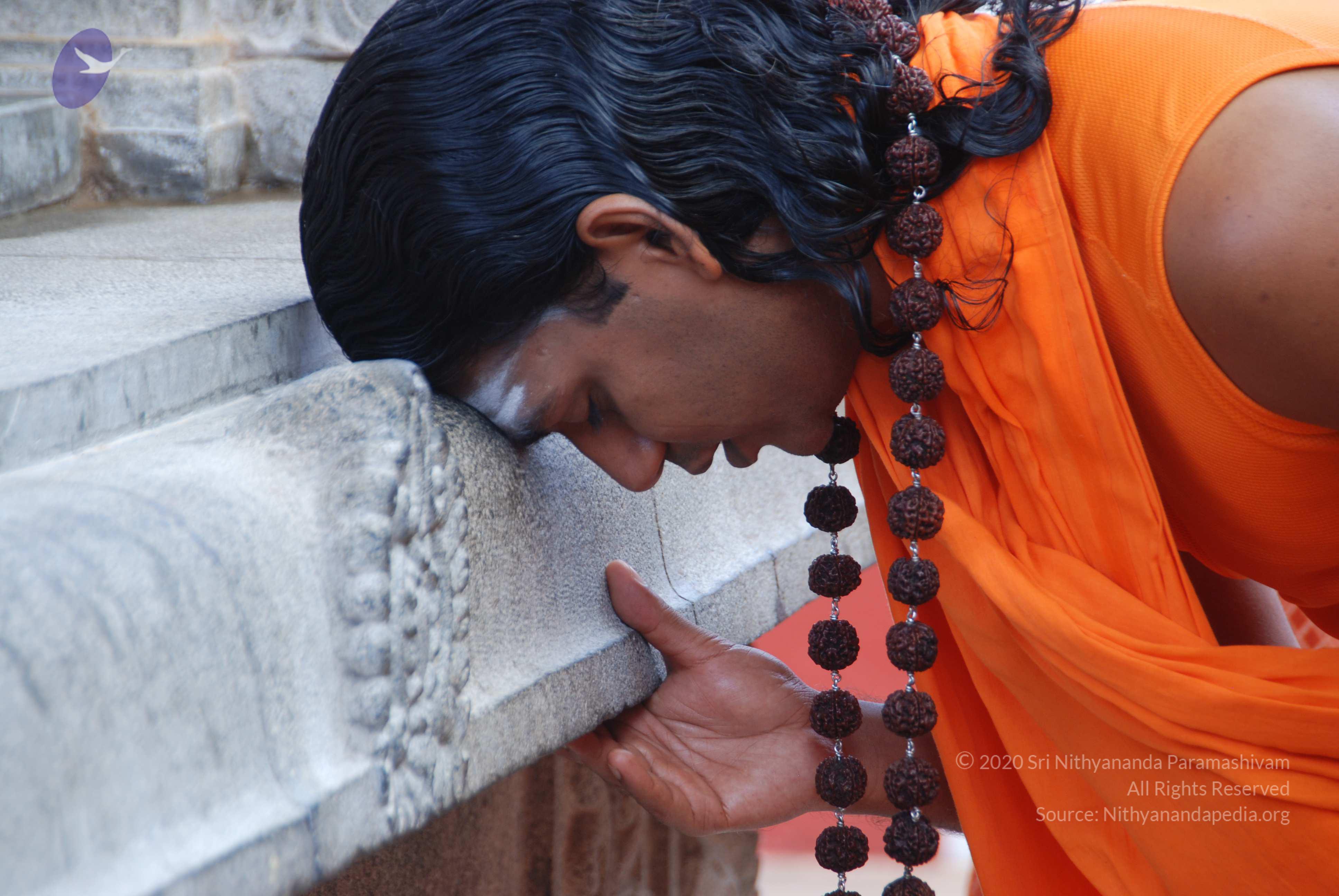 20100907_Photo_1006_DSC_8821_CMP_WM