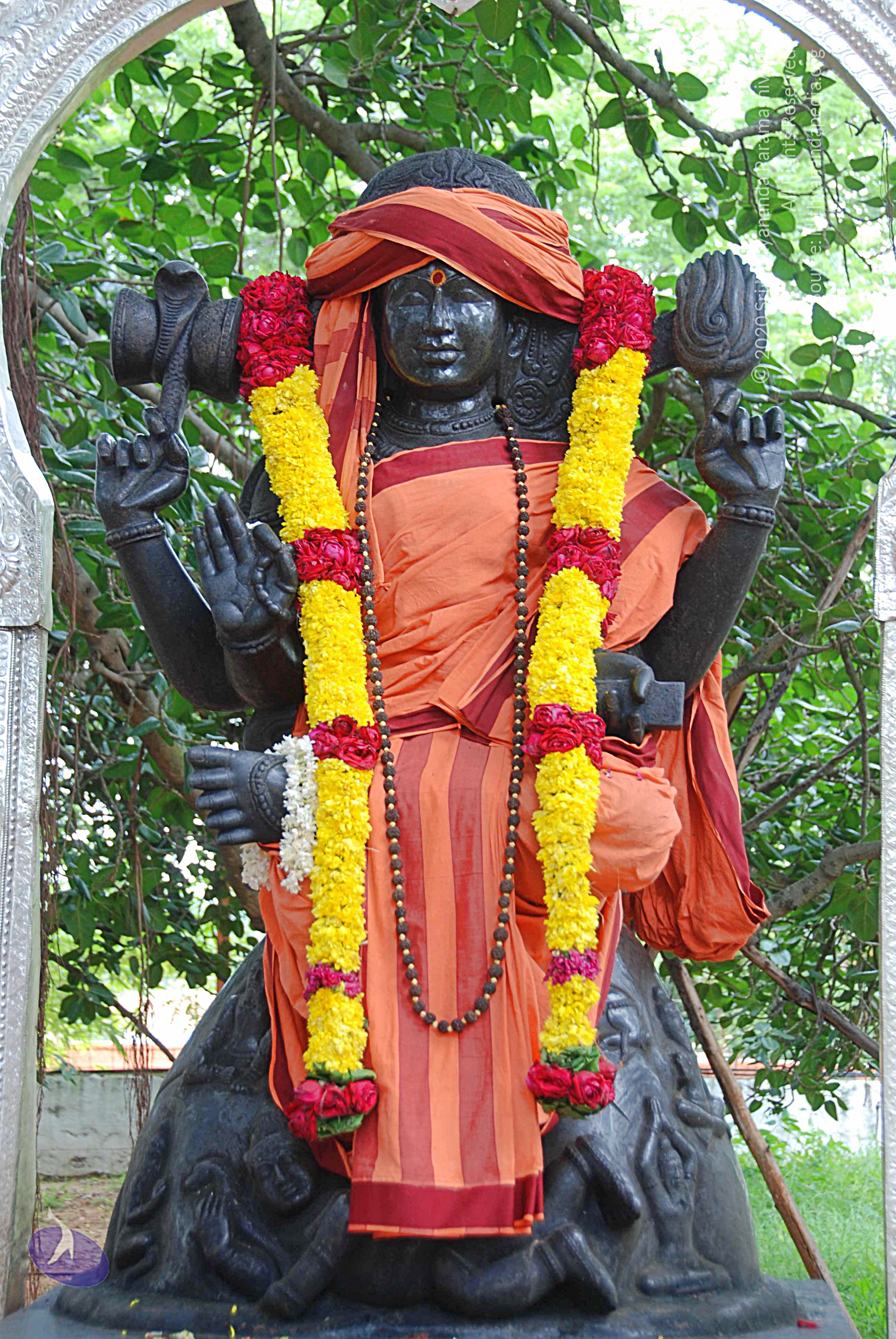 20100907_Photo_1005_DSC_8861_CMP_WM