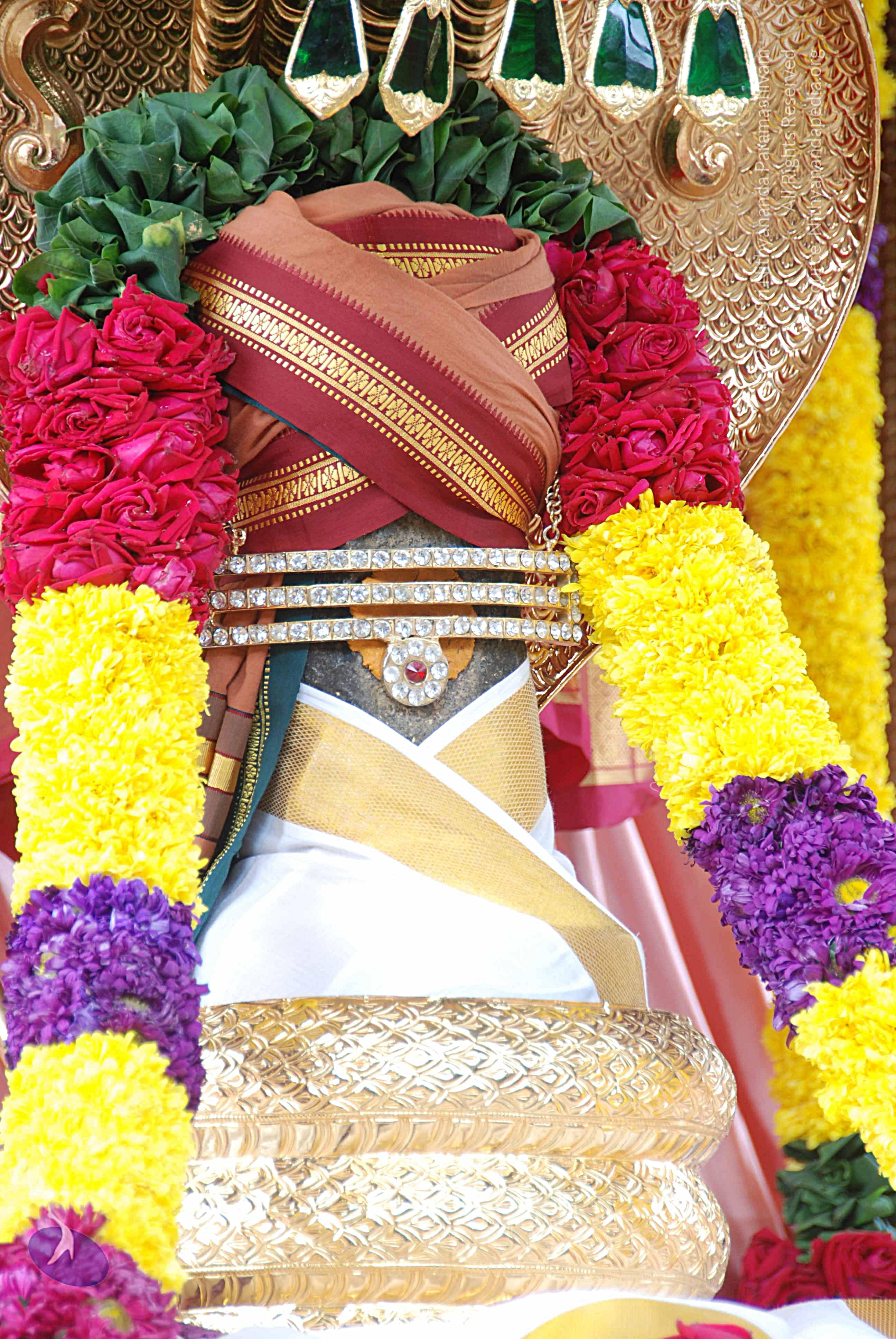 20100907_Photo_1007_DSC_8853_CMP_WM