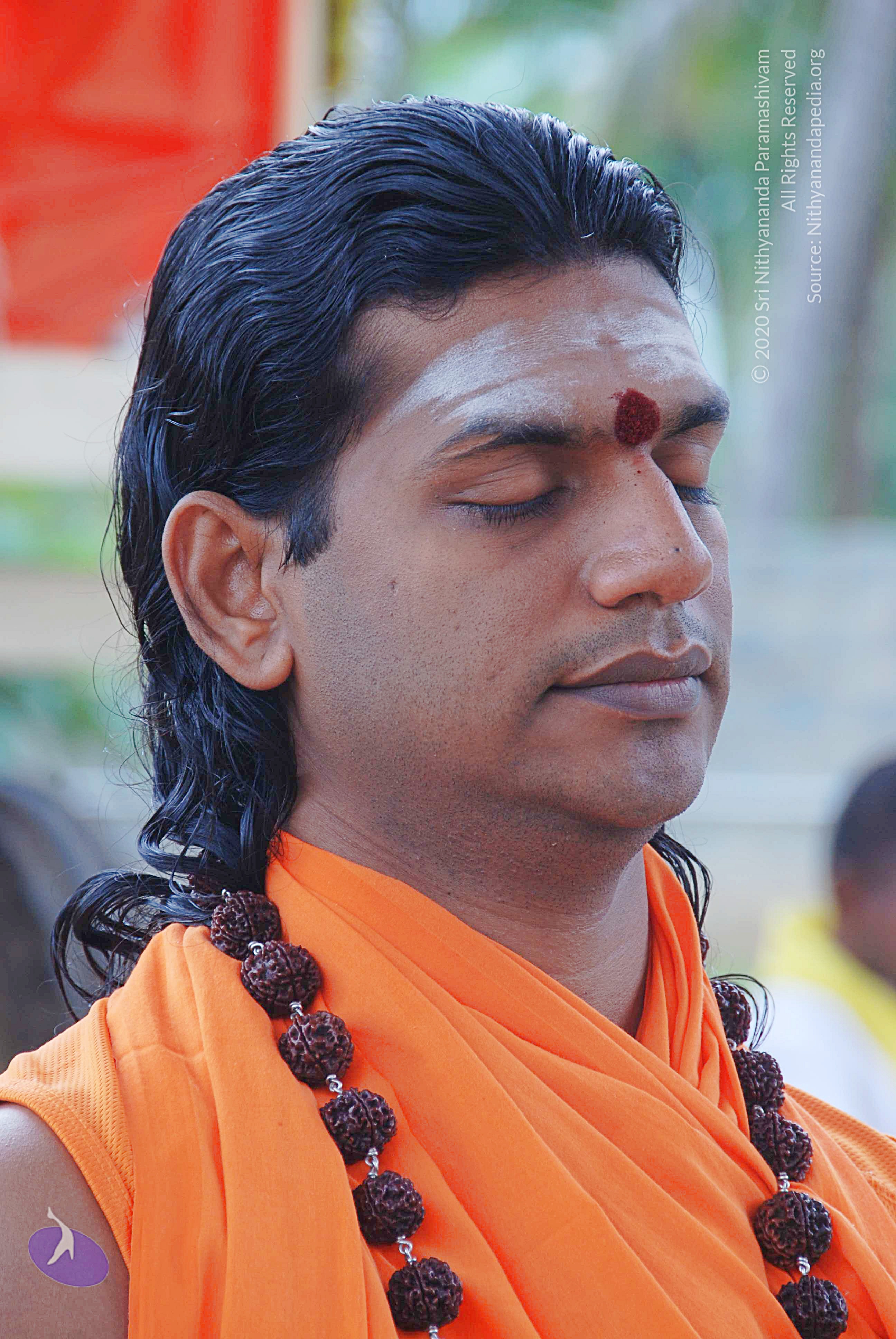 20100907_Photo_1004_DSC_8478_CMP_WM