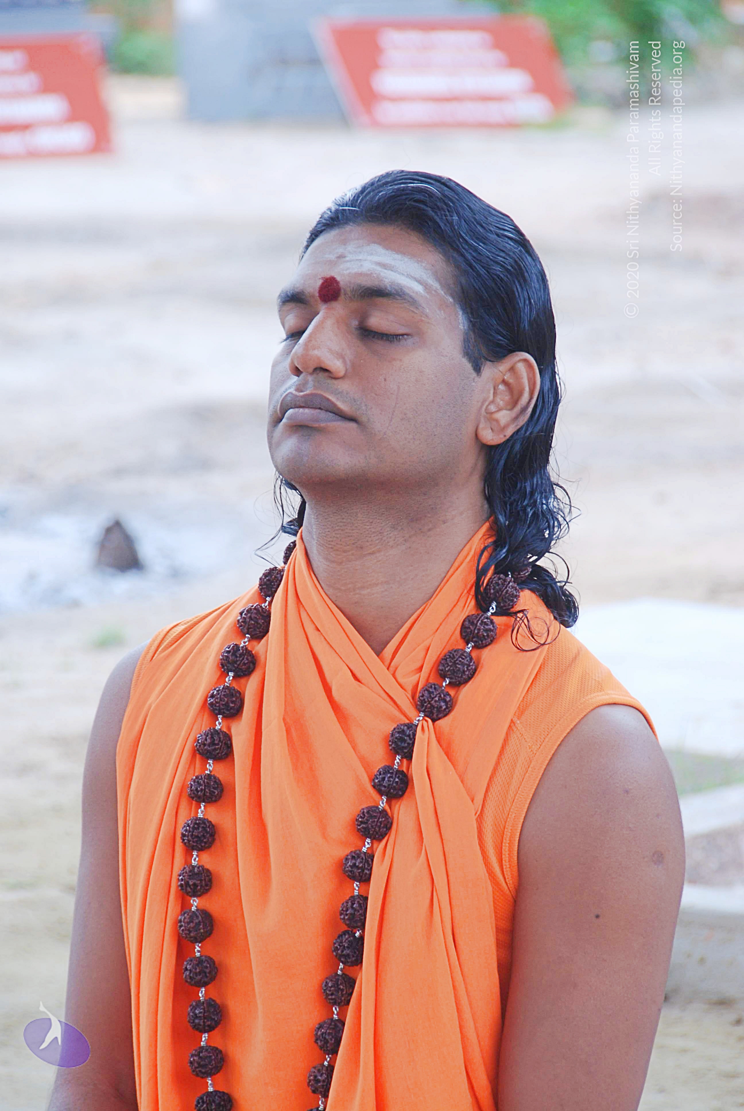 20100907_Photo_1013_DSC_8524_CMP_WM