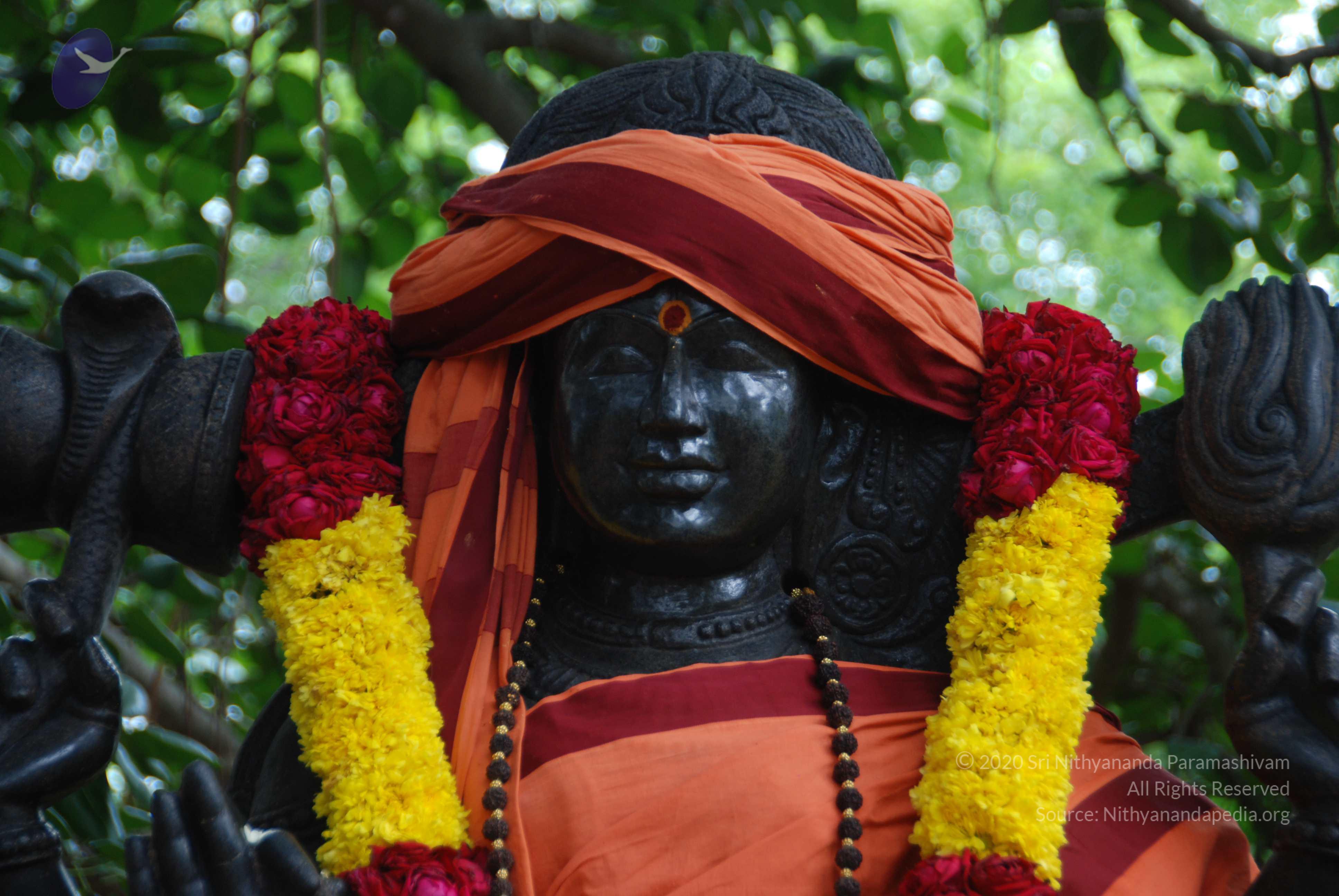 20100907_Photo_1017_DSC_8860_CMP_WM