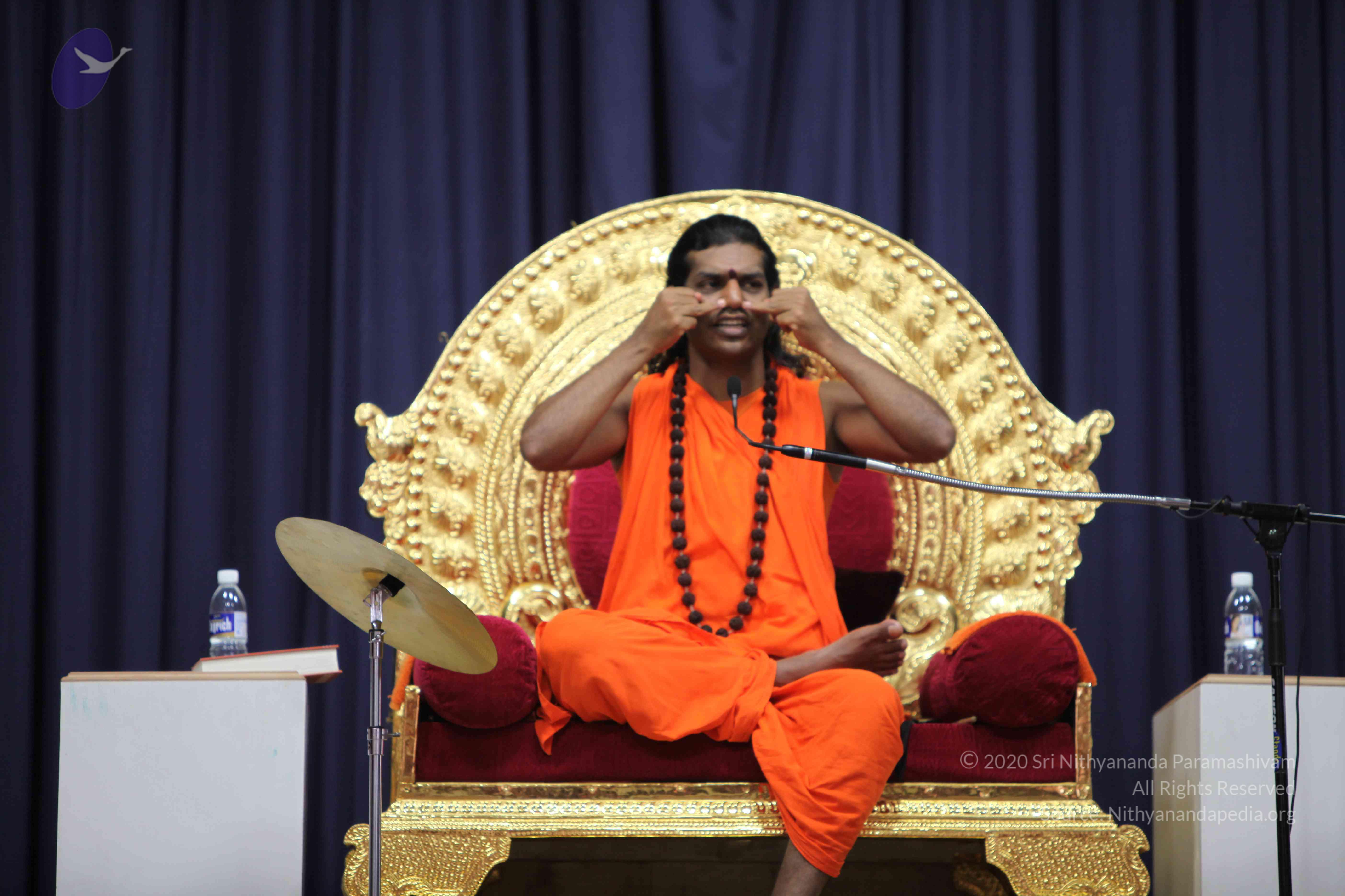 20100909_Photo_1000_IMG_4923_CMP_WM