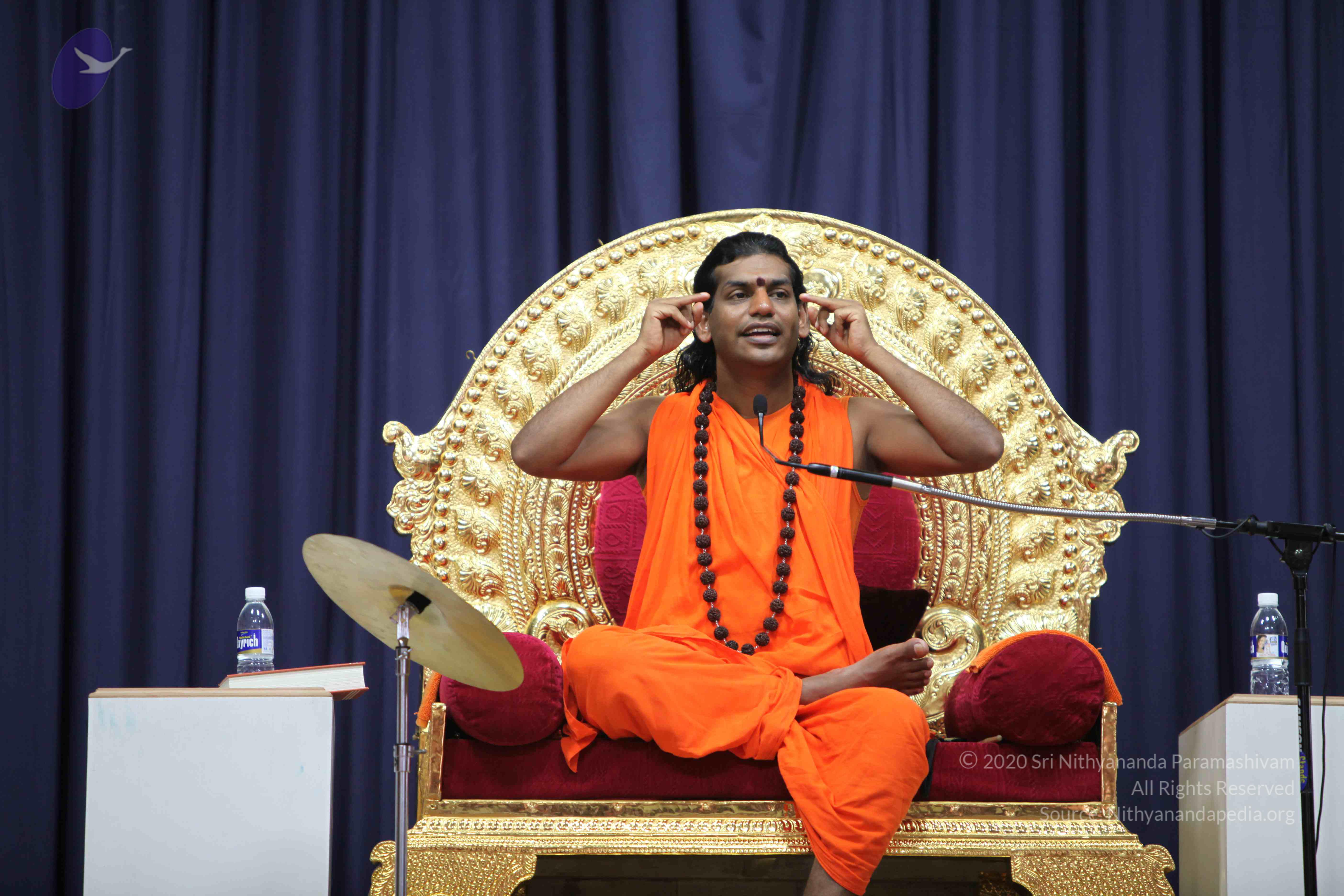 20100909_Photo_1007_IMG_4922_CMP_WM