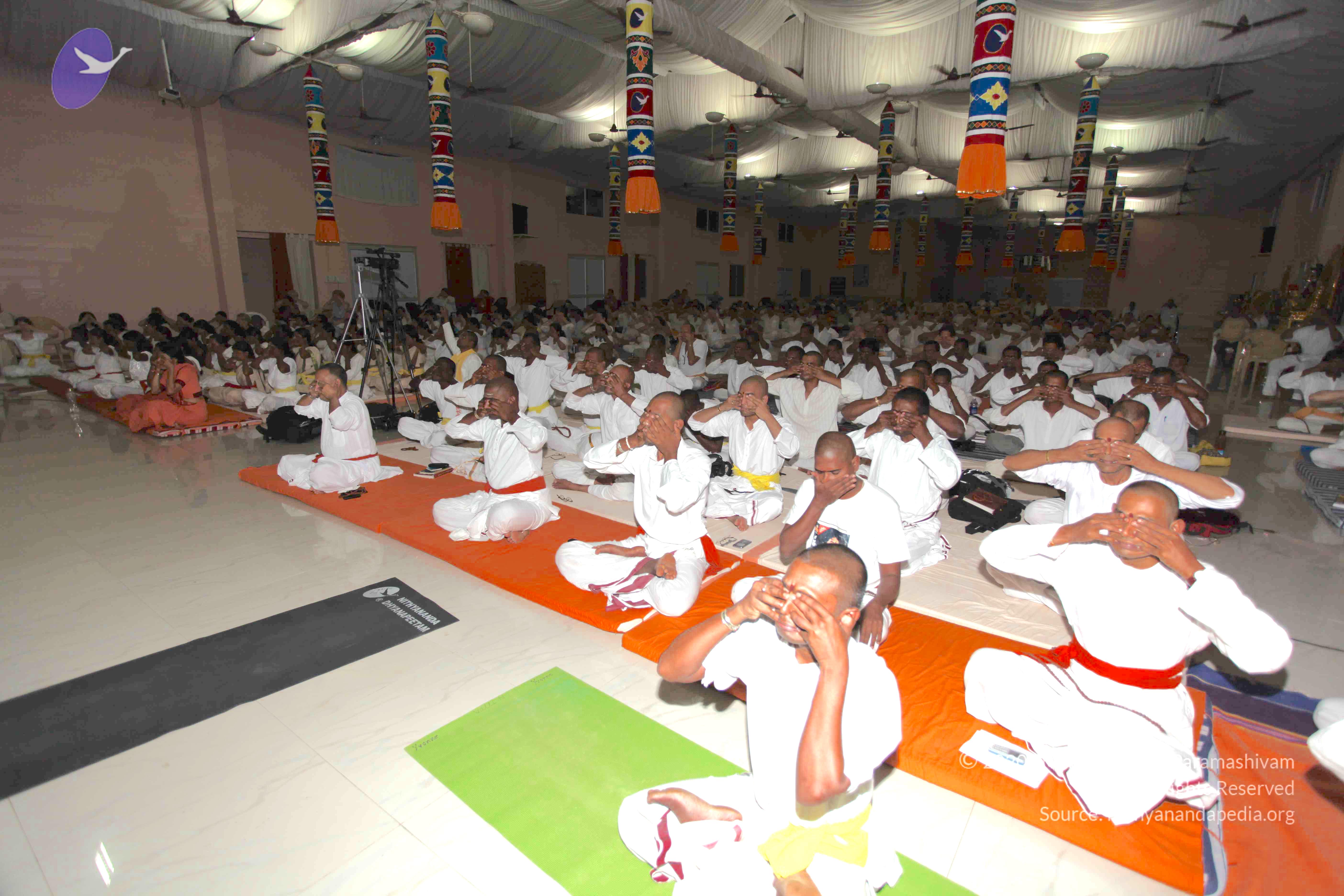 20100909_Photo_1018_IMG_5401_CMP_WM