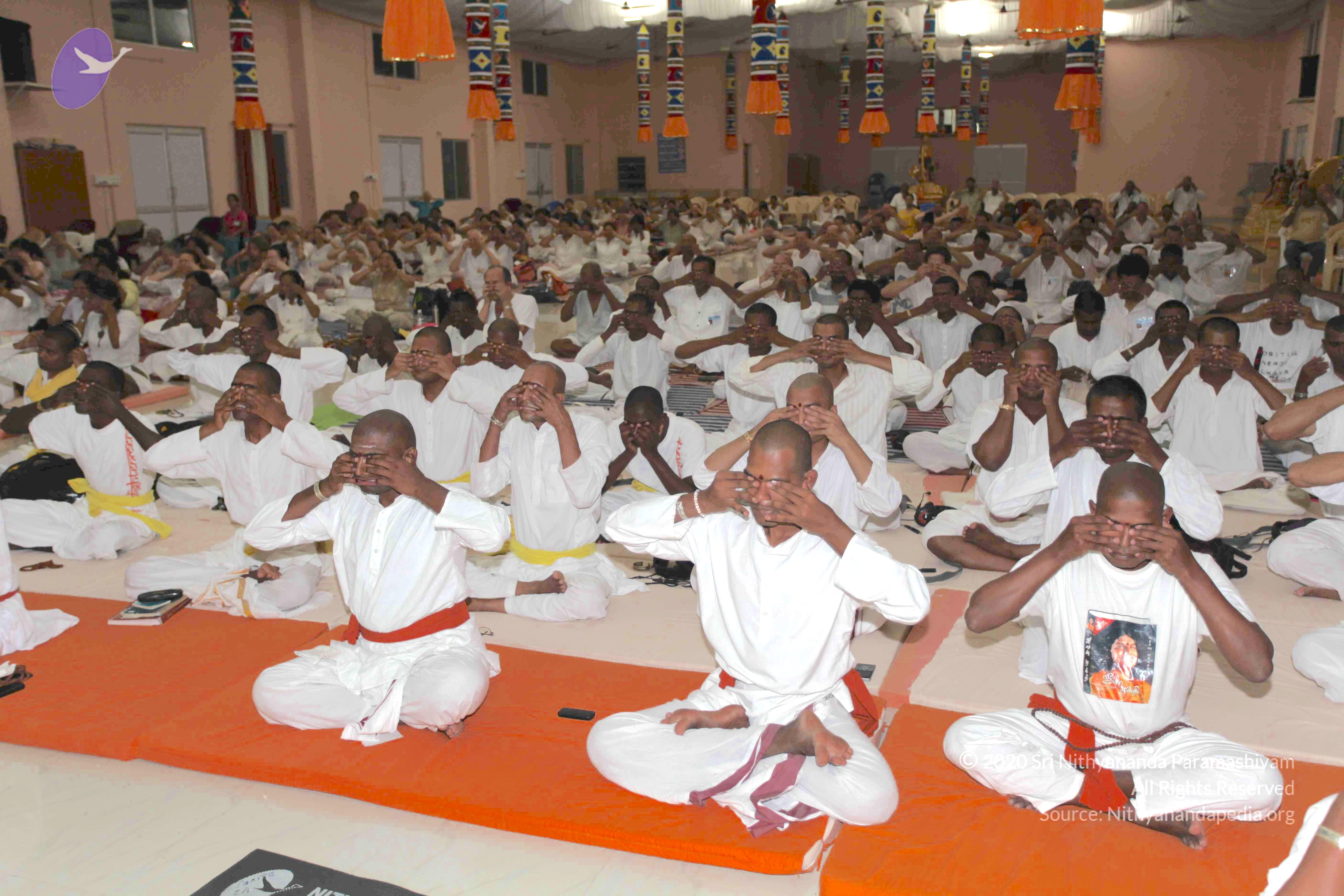 20100909_Photo_1043_IMG_5415_CMP_WM