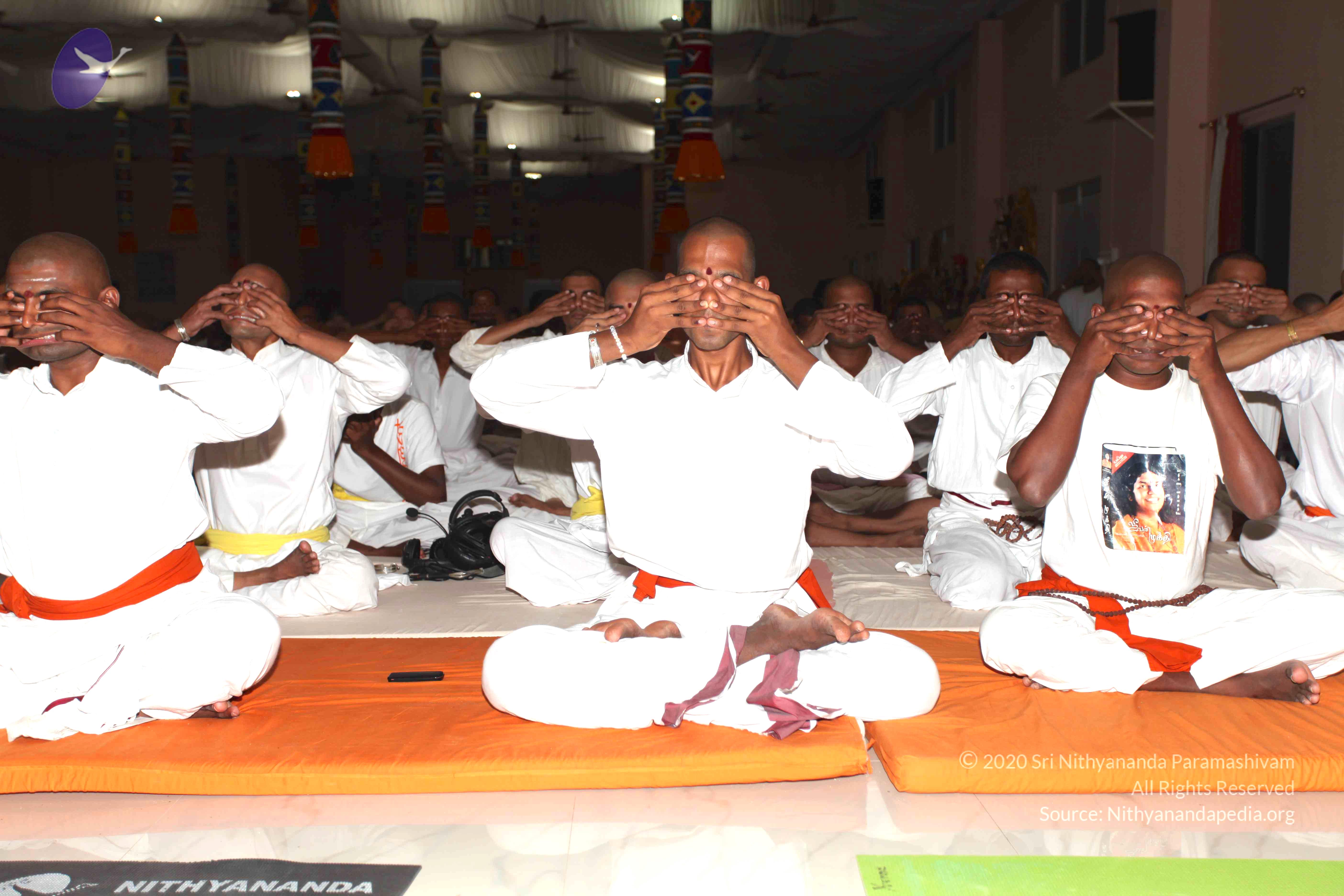 20100909_Photo_1069_IMG_5404_CMP_WM