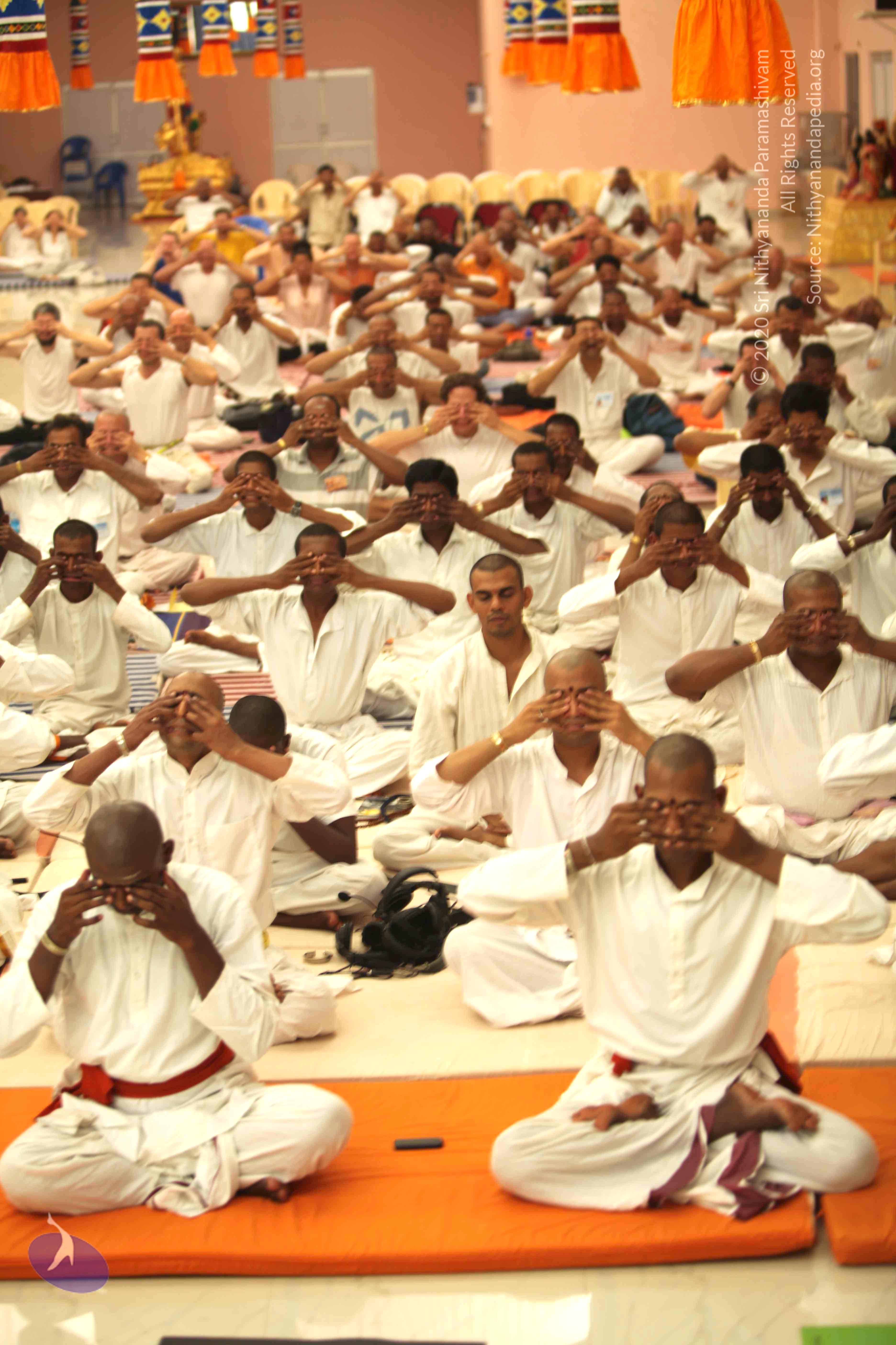 20100909_Photo_1172_IMG_5419_CMP_WM