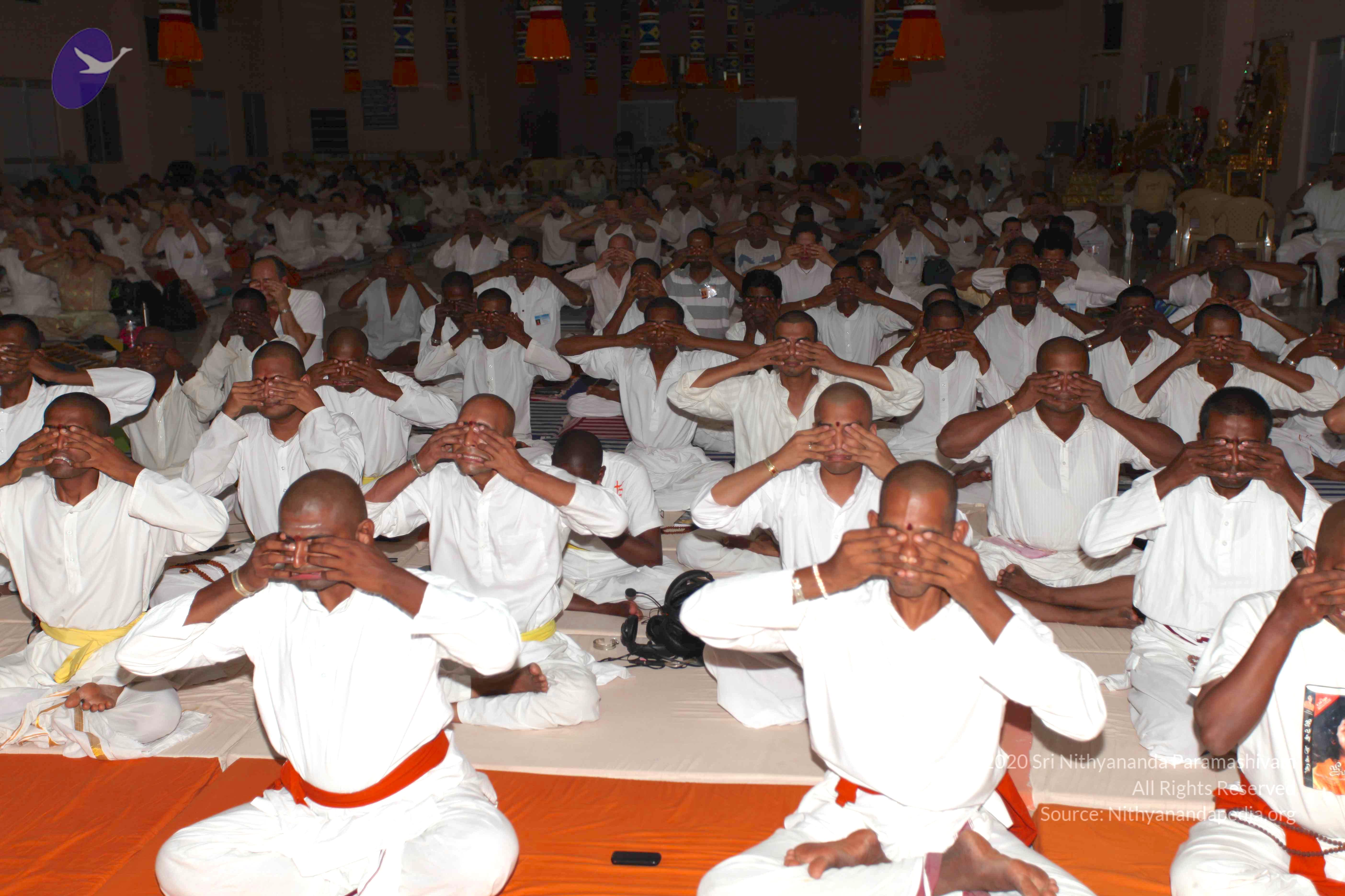 20100909_Photo_1180_IMG_5405_CMP_WM