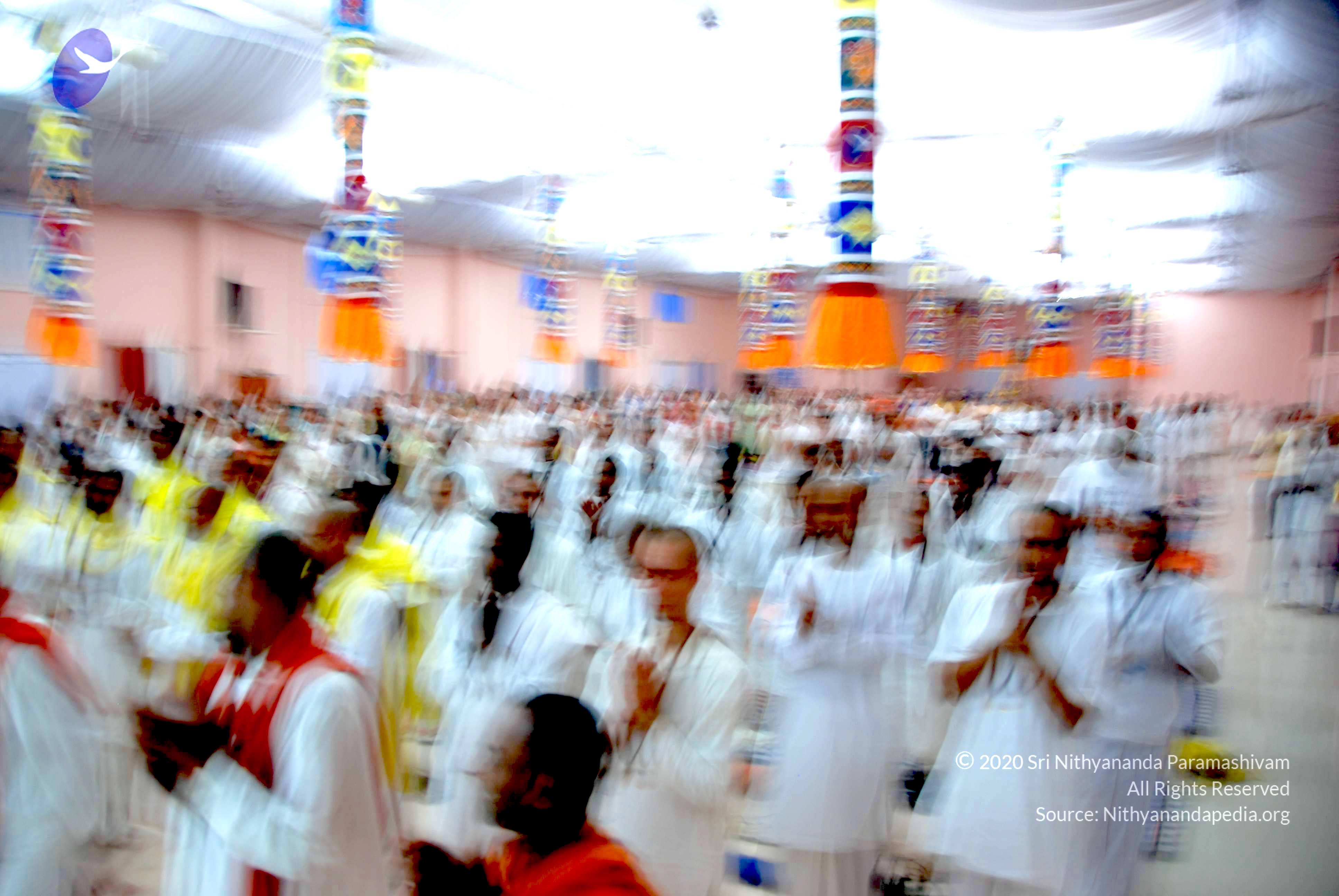 20100909_Photo_1276_DSC_8968_CMP_WM