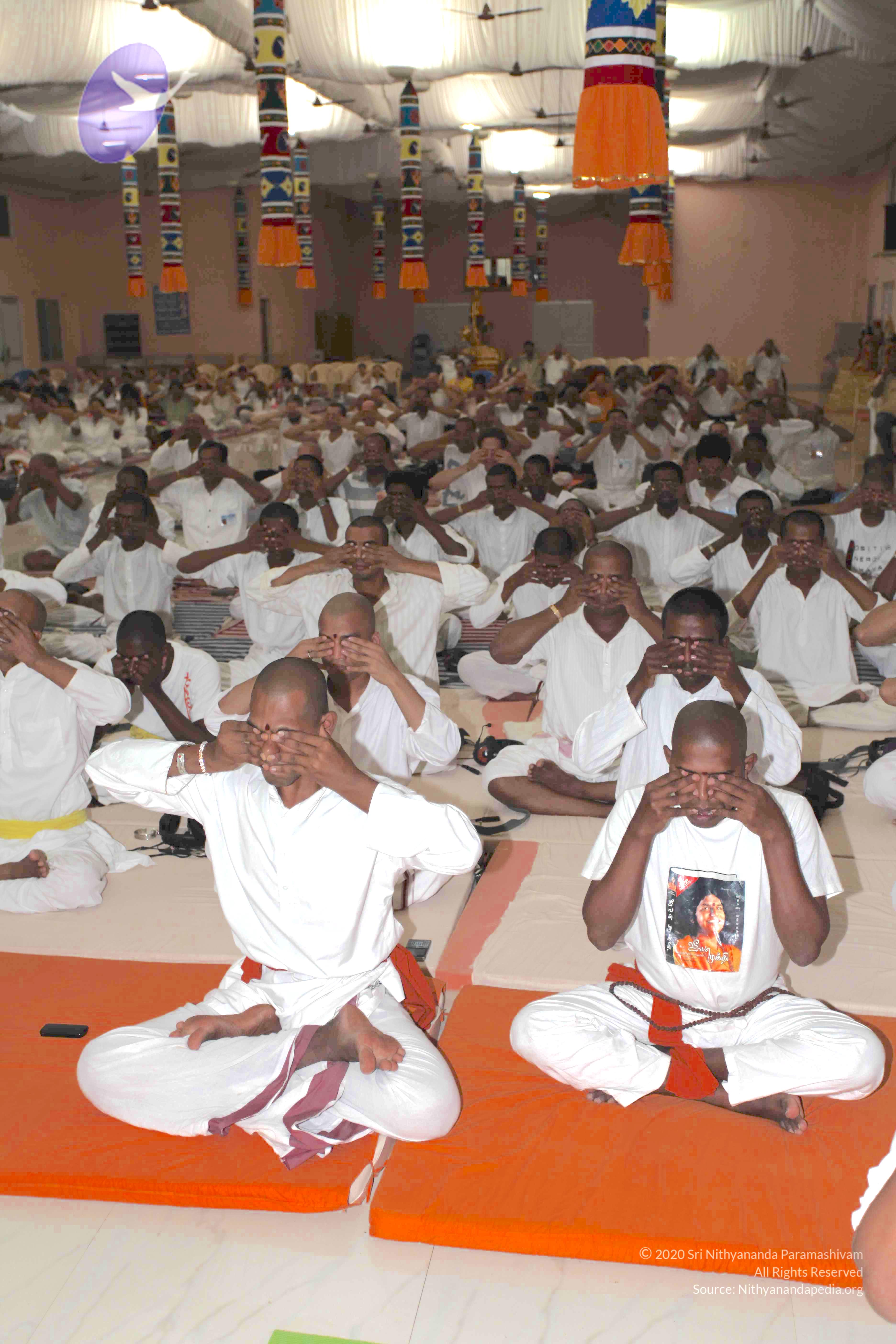 20100909_Photo_1286_IMG_5413_CMP_WM