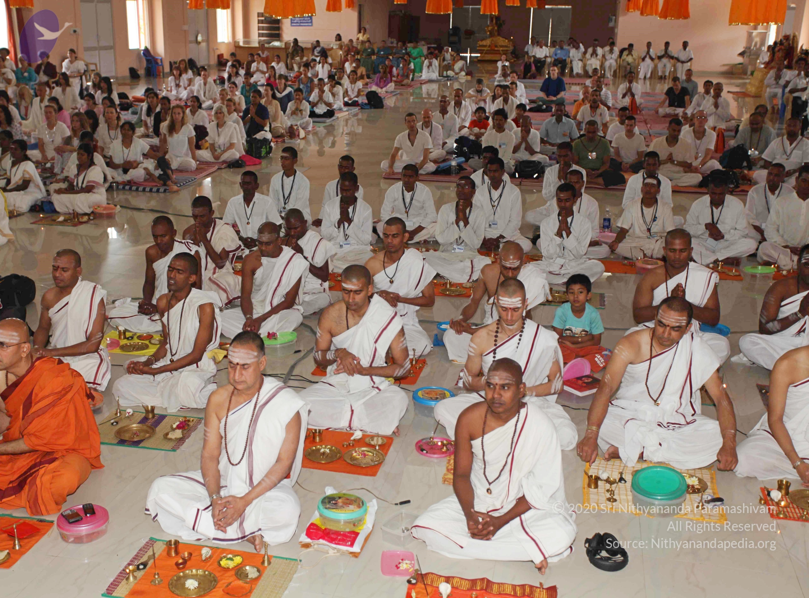 IMG_5699_CMP_WM(1) Done