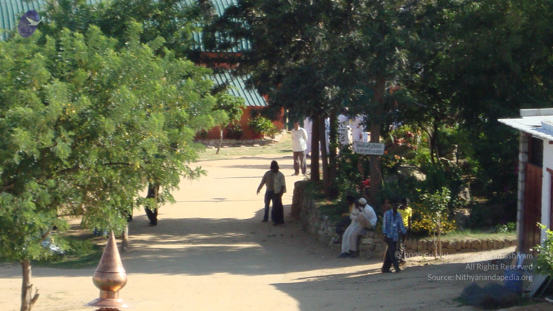 20100926_Photo_1009_DSC00682_CMP_WM