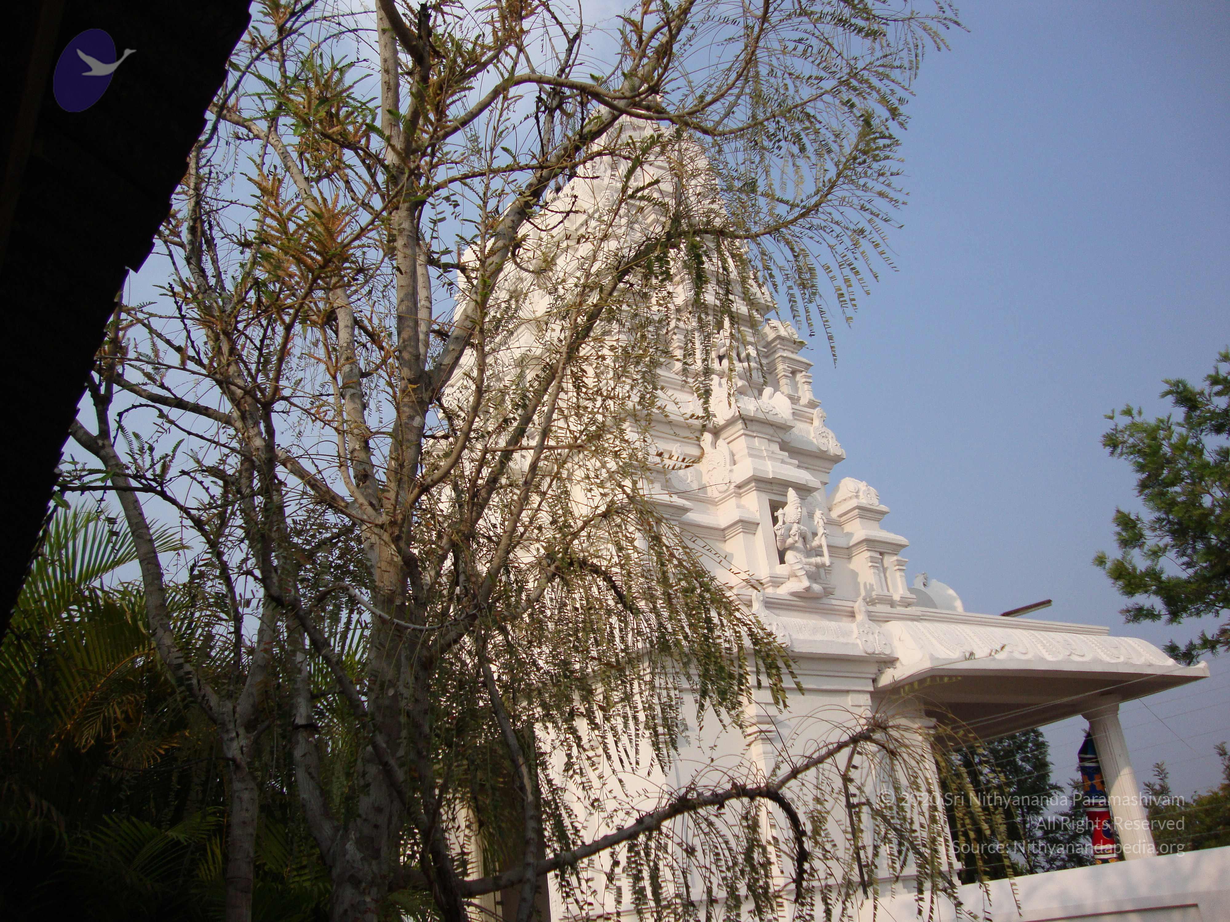 20100926_Photo_1023_DSC00355_CMP_WM