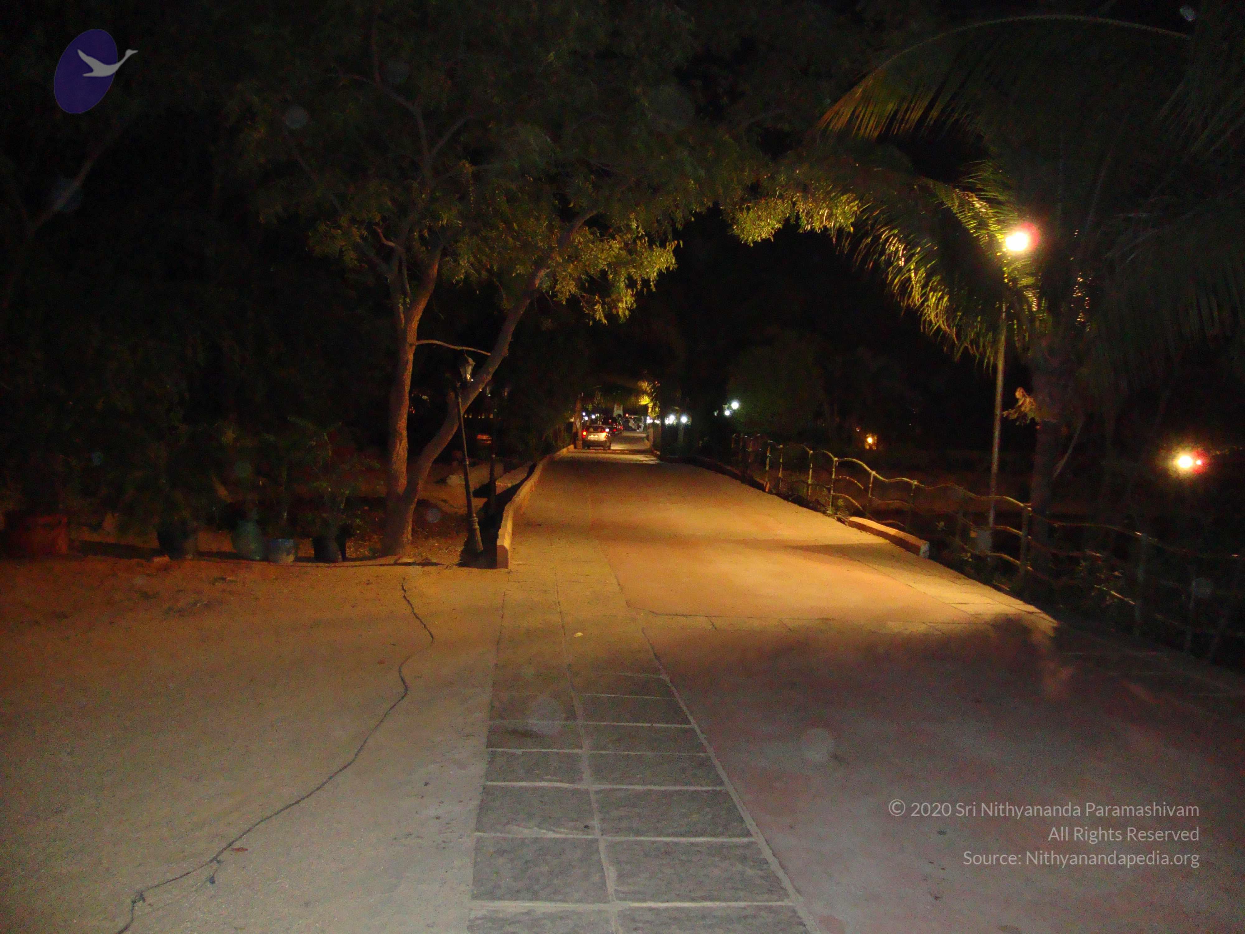 20100926_Photo_1034_DSC00193_CMP_WM