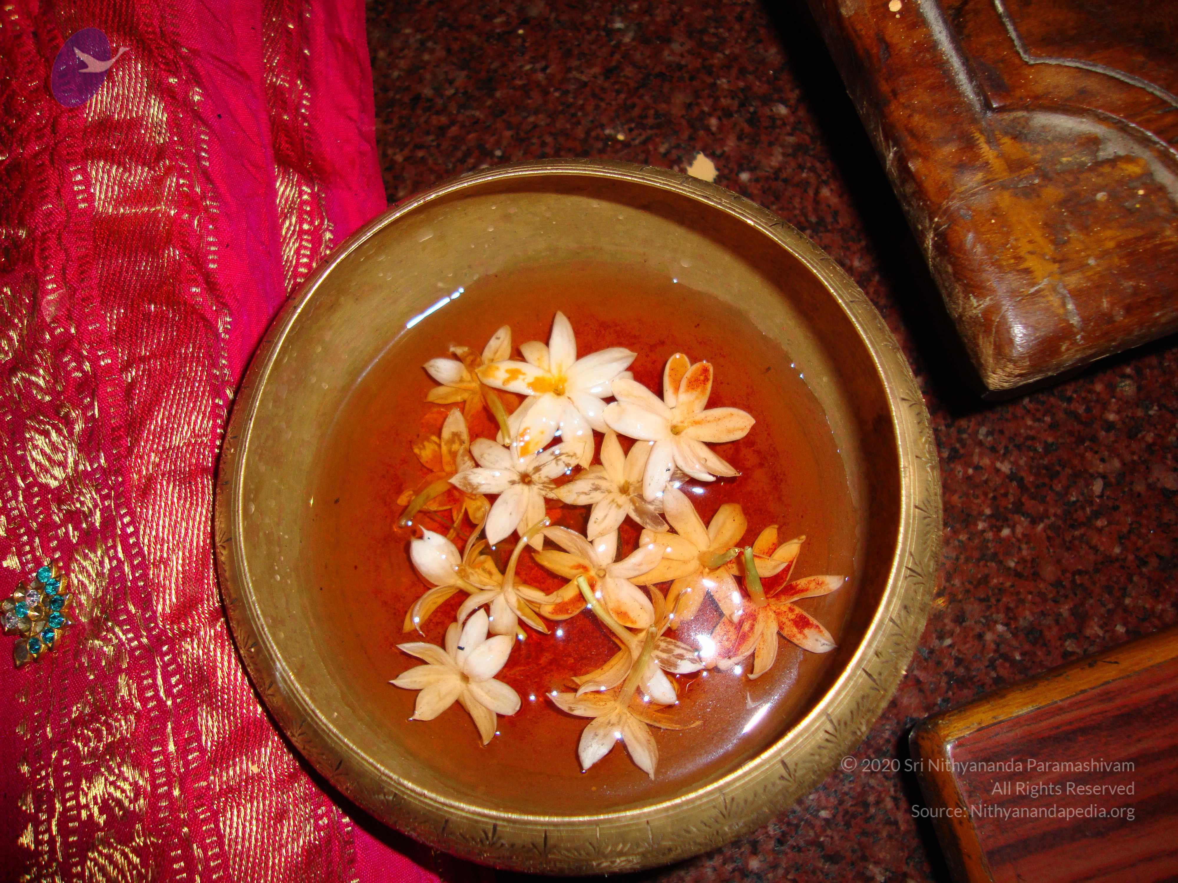 20100926_Photo_1035_DSC00298_CMP_WM