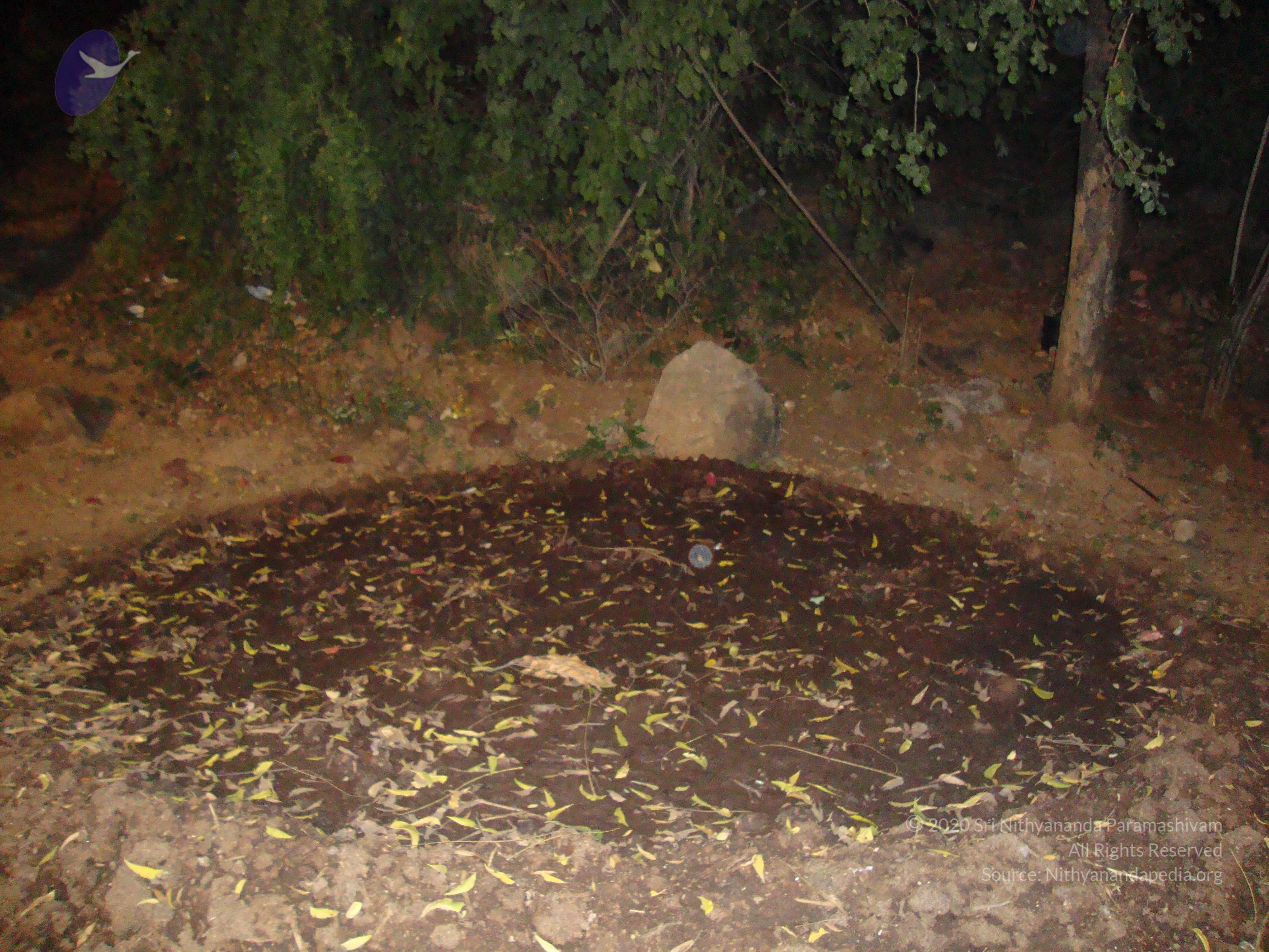 20100926_Photo_1045_DSC00196_CMP_WM