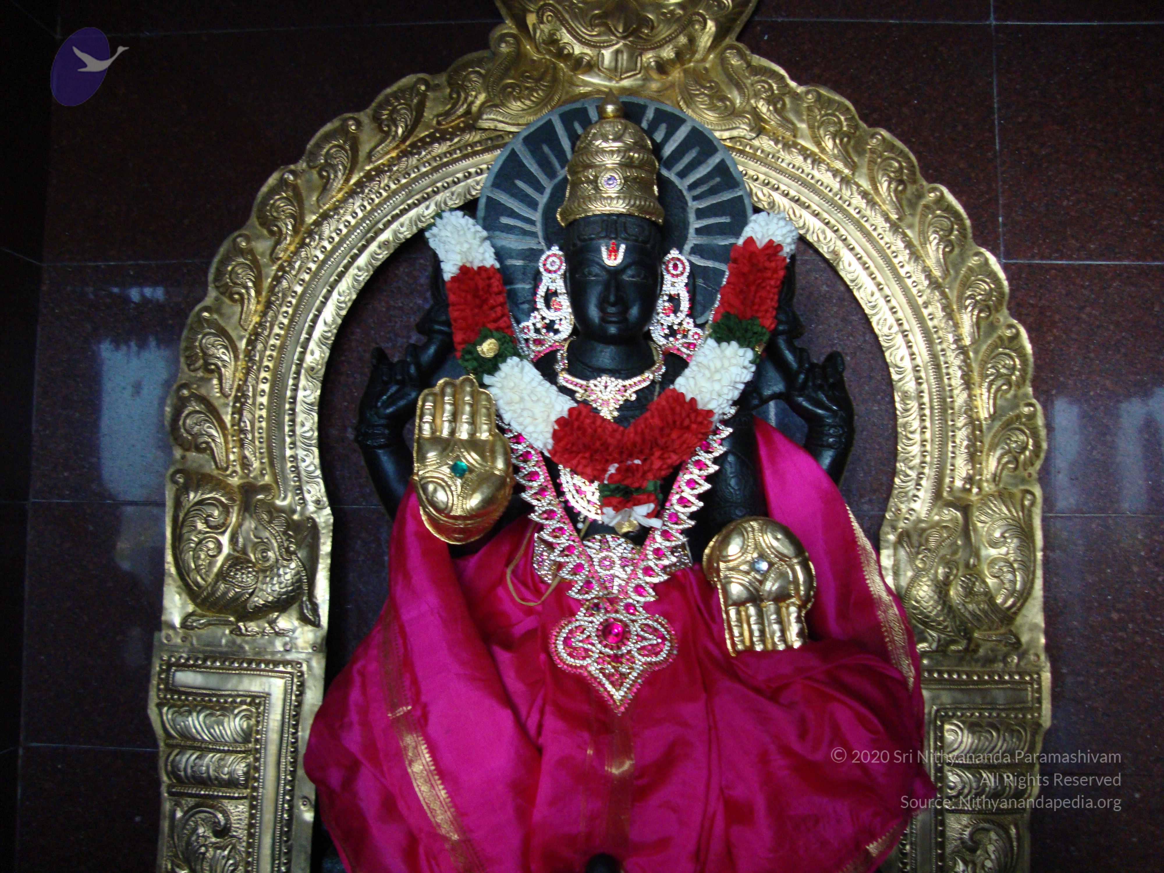 20100926_Photo_1096_DSC00329_CMP_WM