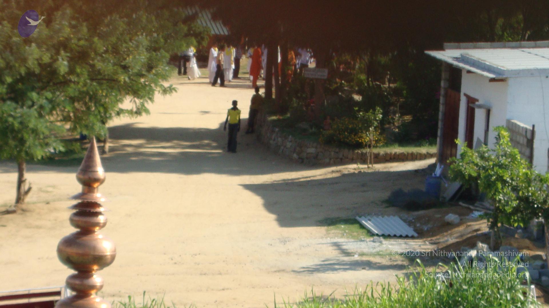 20100926_Photo_1099_DSC00654_CMP_WM