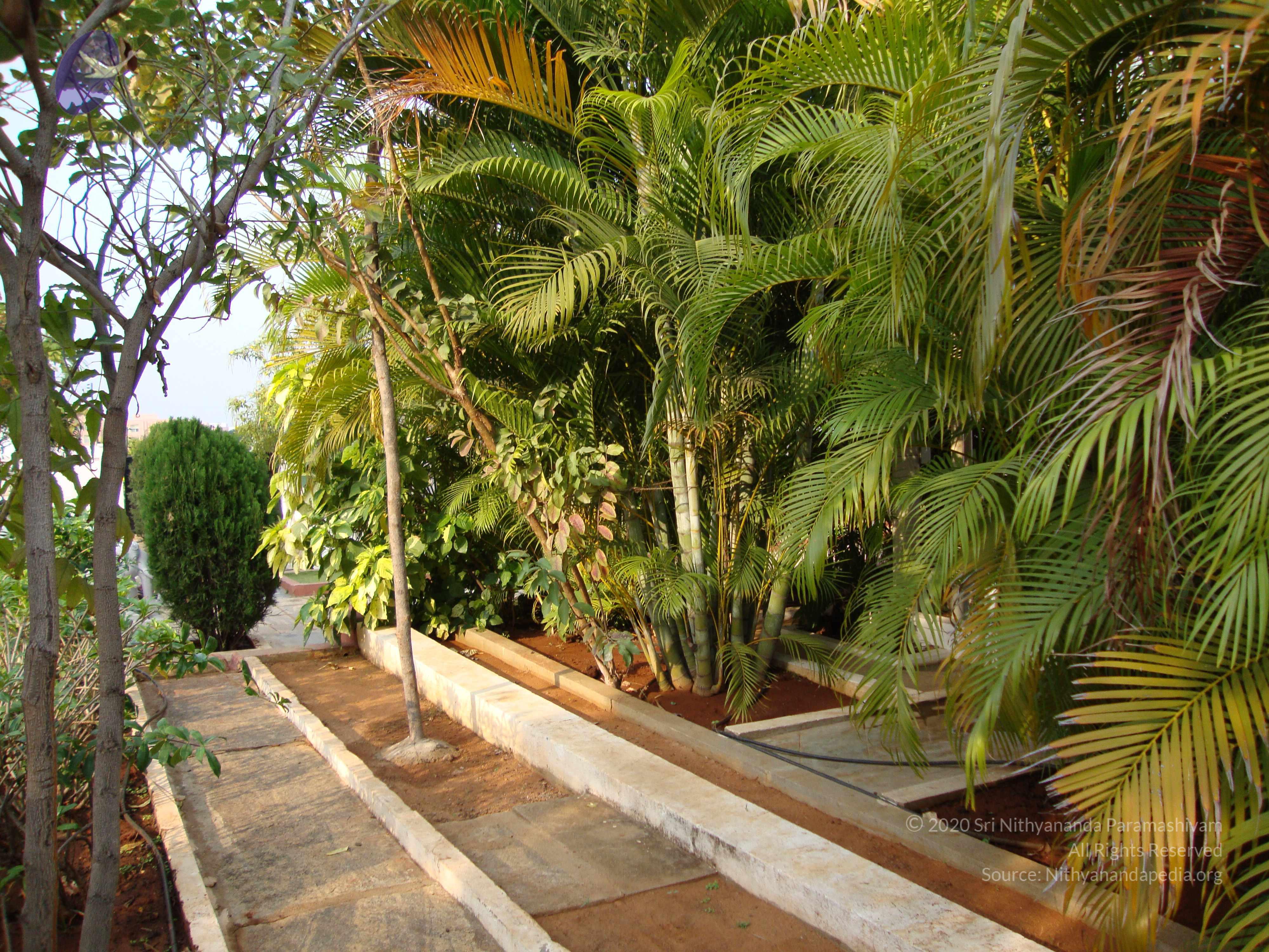 20100926_Photo_1111_DSC00346_CMP_WM