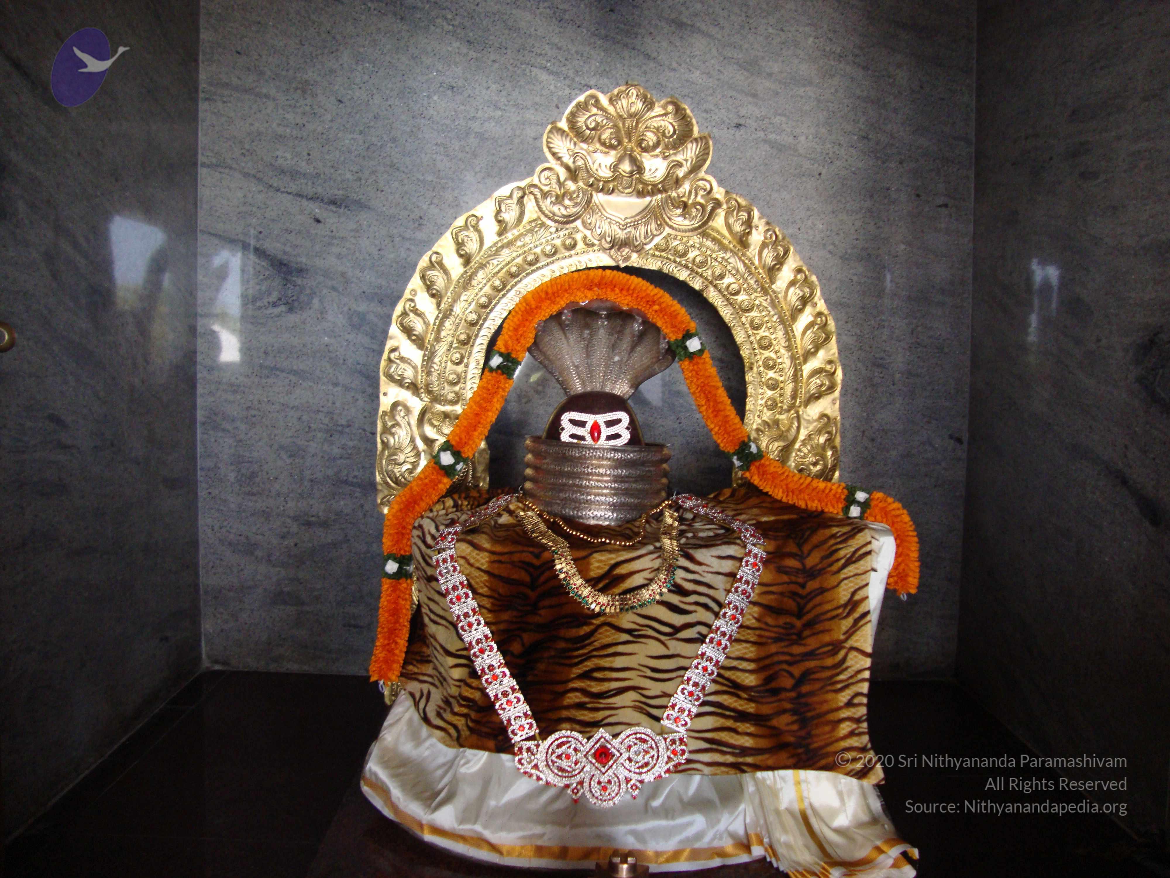 20100926_Photo_1112_DSC00265_CMP_WM