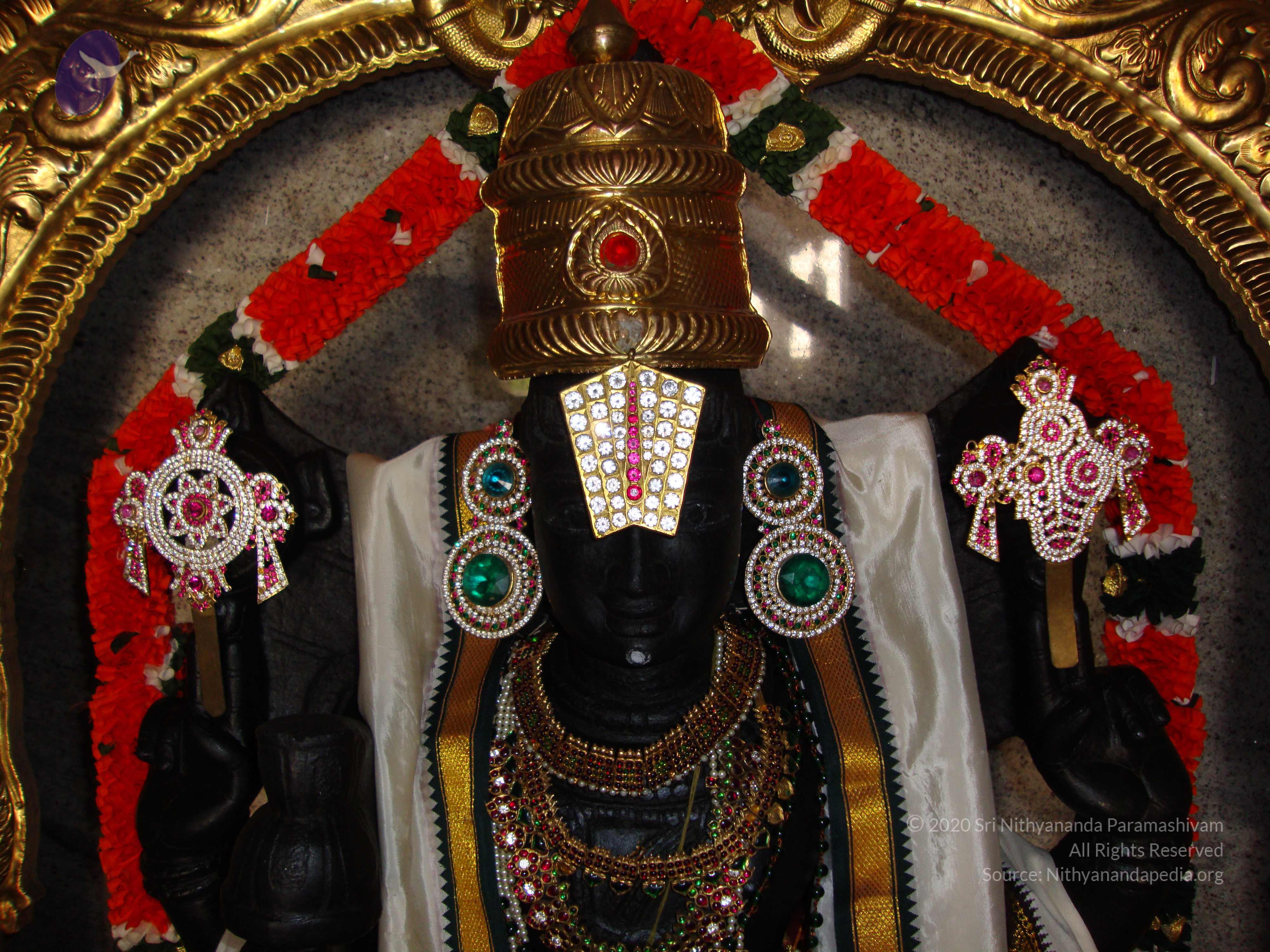 20100926_Photo_1123_DSC00283_CMP_WM