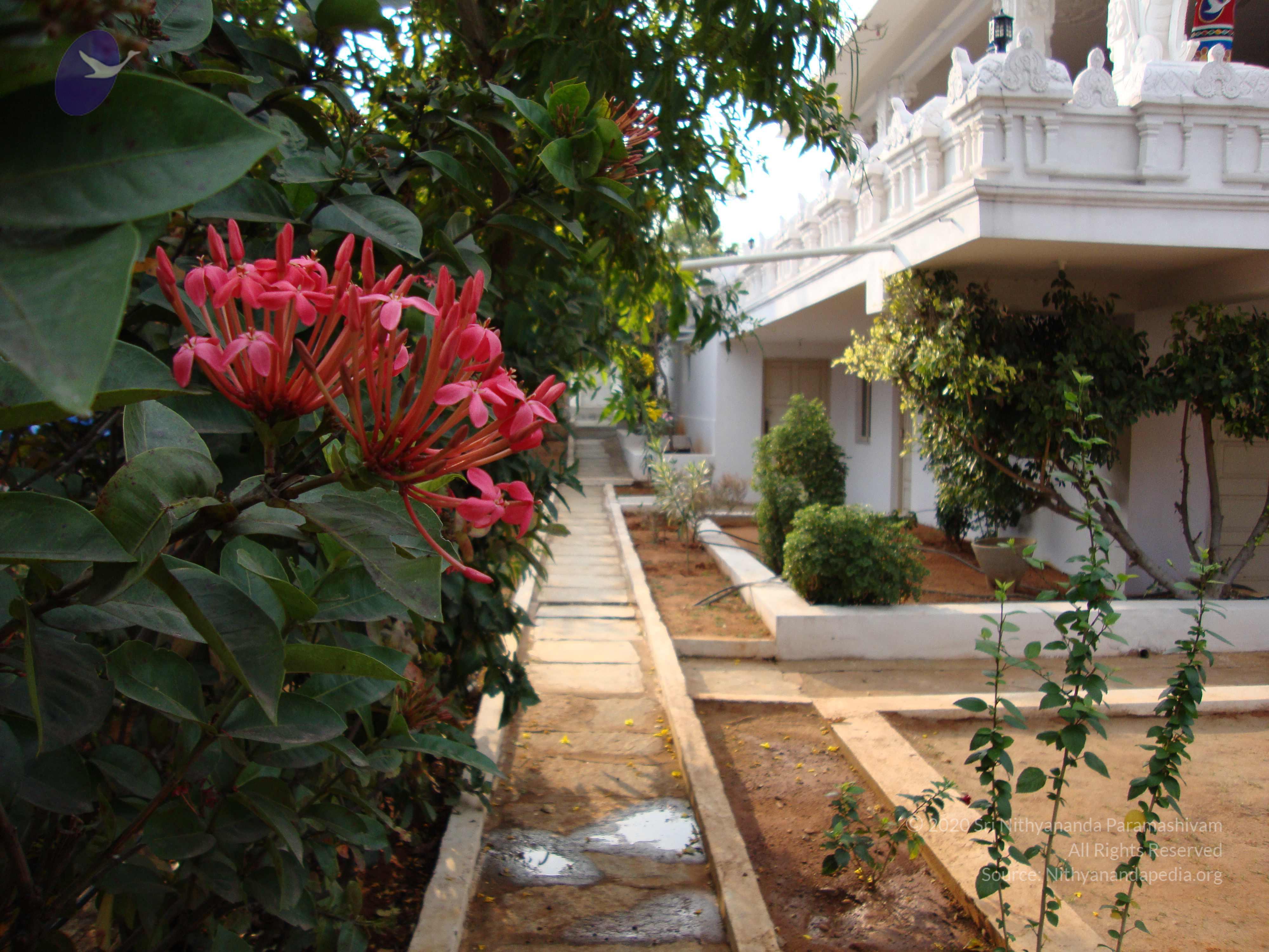 20100926_Photo_1224_DSC00345_CMP_WM