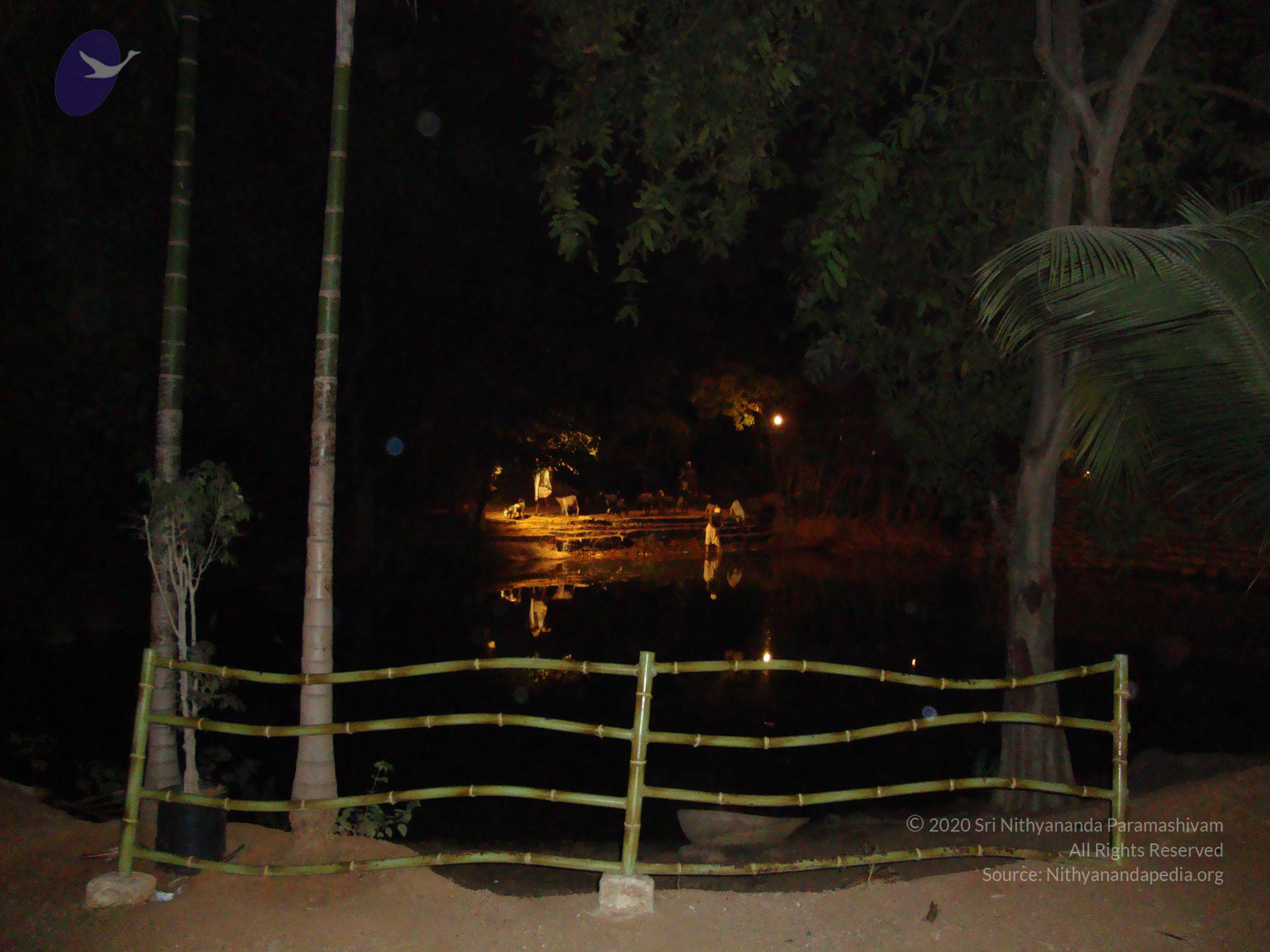 20100926_Photo_1231_DSC00204_CMP_WM