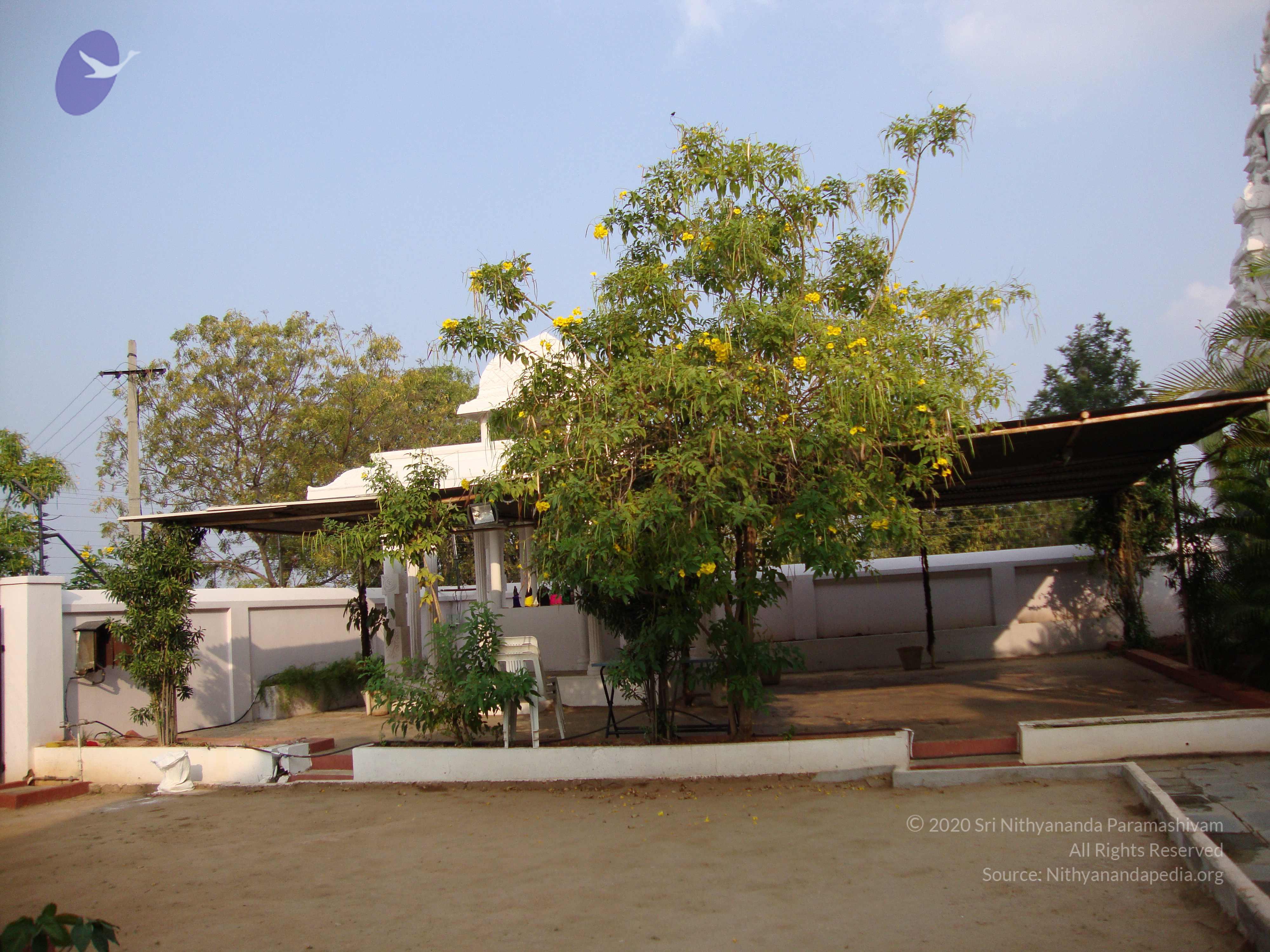 20100926_Photo_1249_DSC00342_CMP_WM