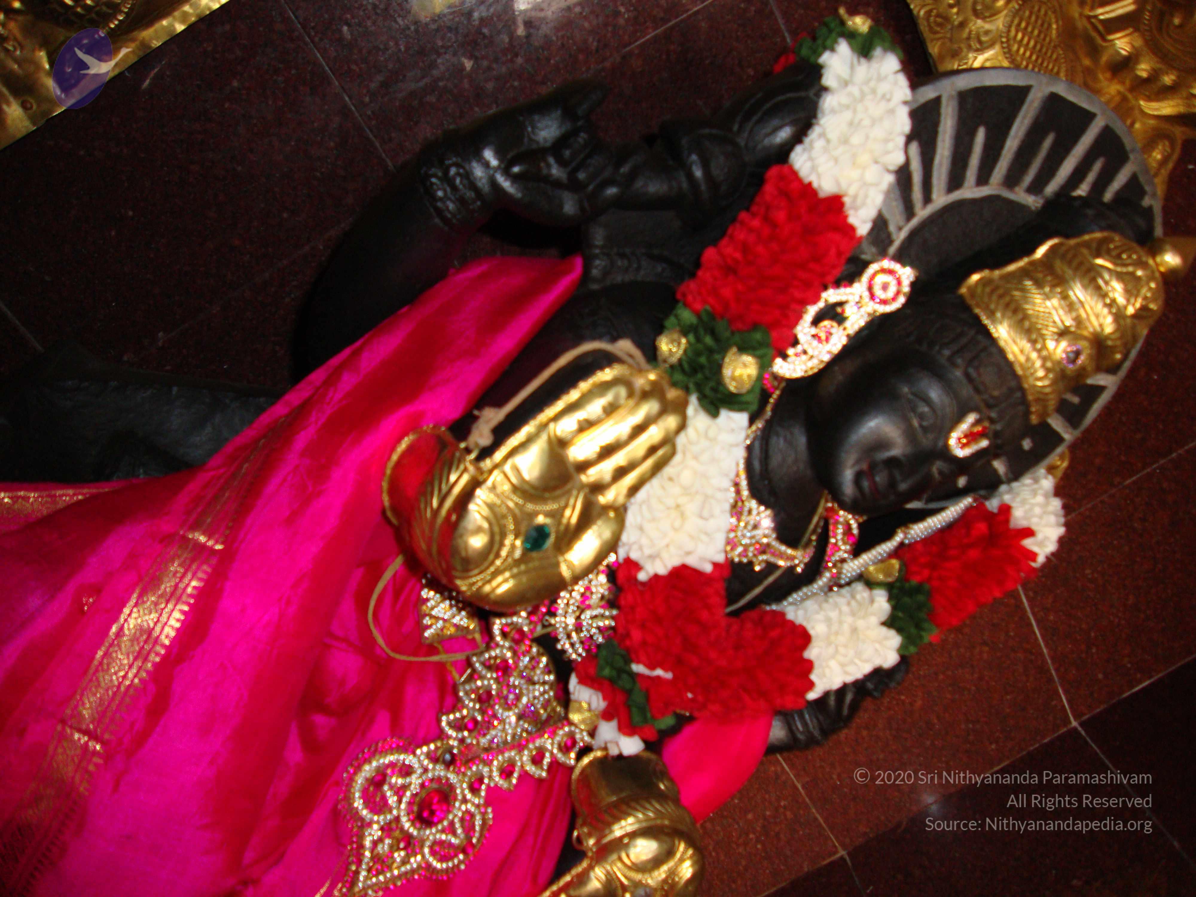 20100926_Photo_1264_DSC00331_CMP_WM