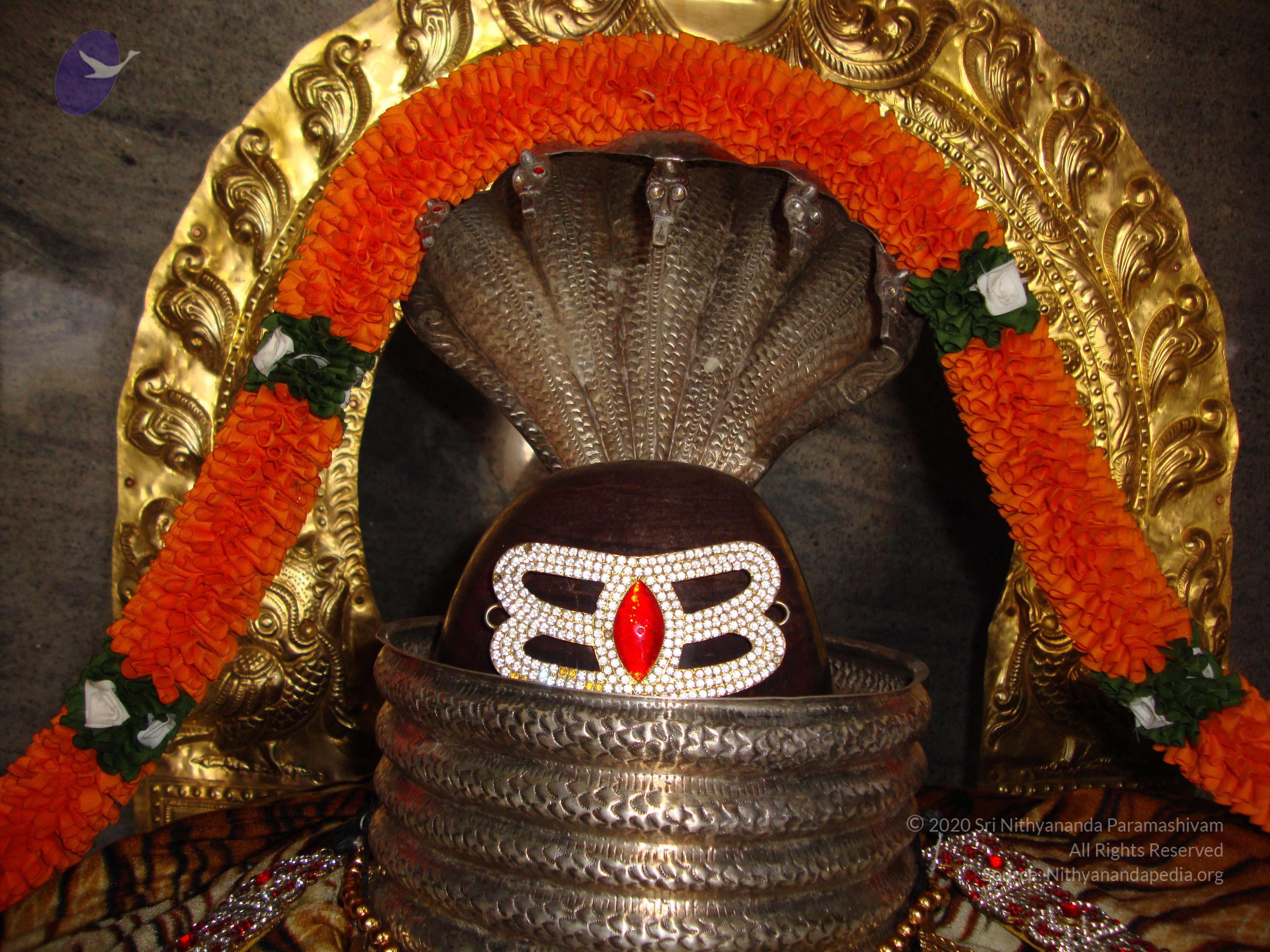 20100926_Photo_1267_DSC00270_CMP_WM