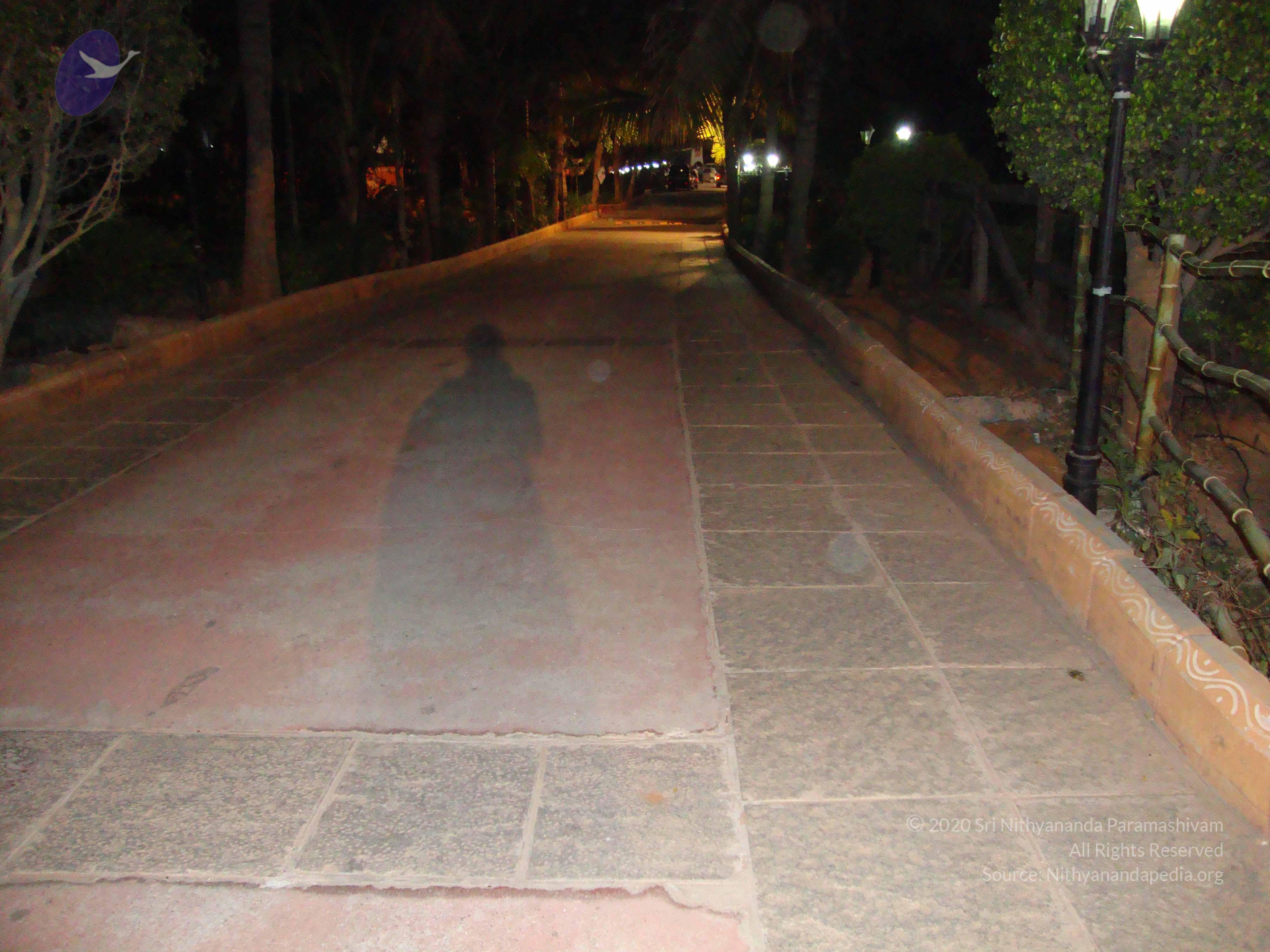 20100926_Photo_1271_DSC00198_CMP_WM