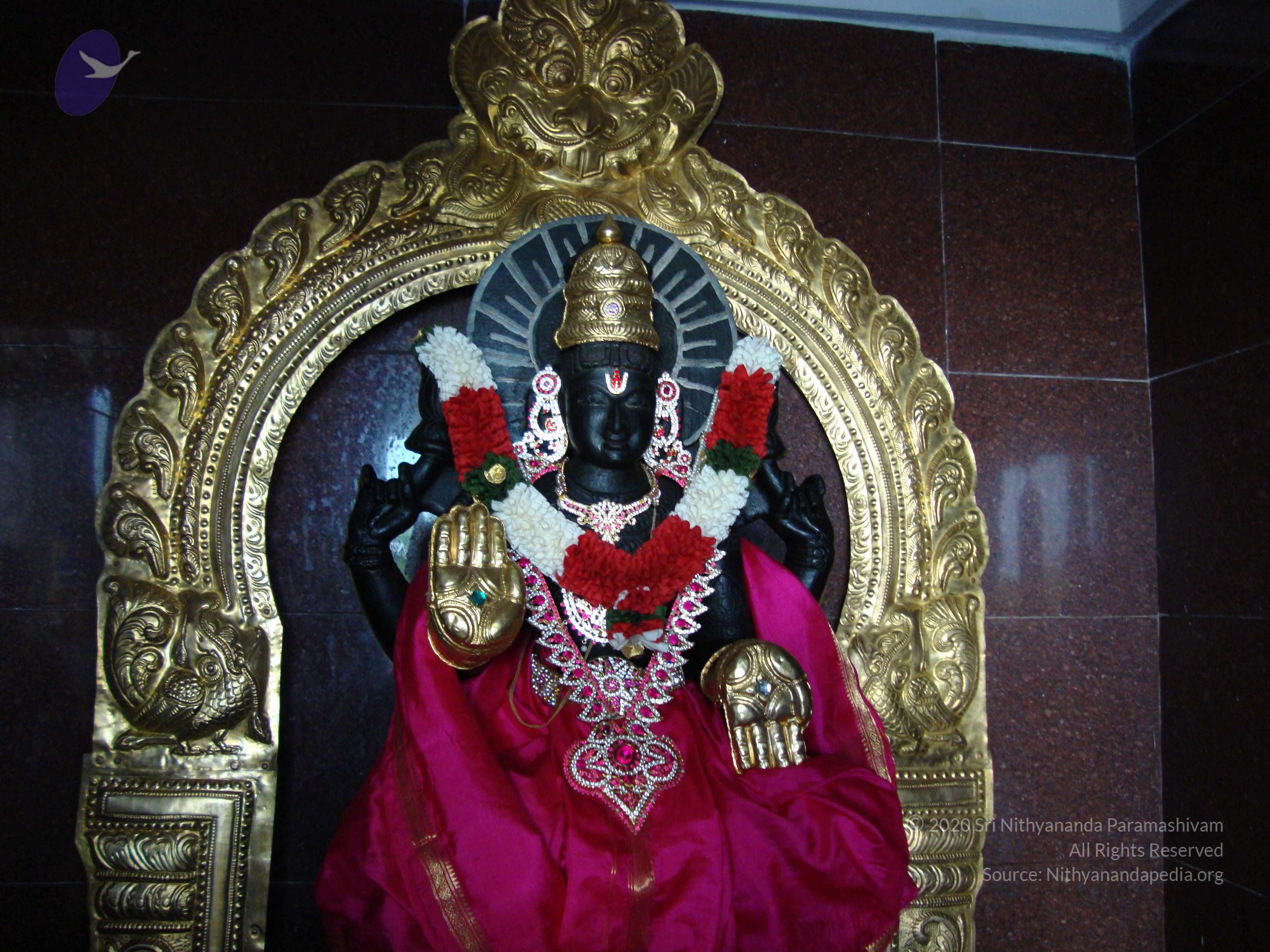 20100926_Photo_1289_DSC00328_CMP_WM