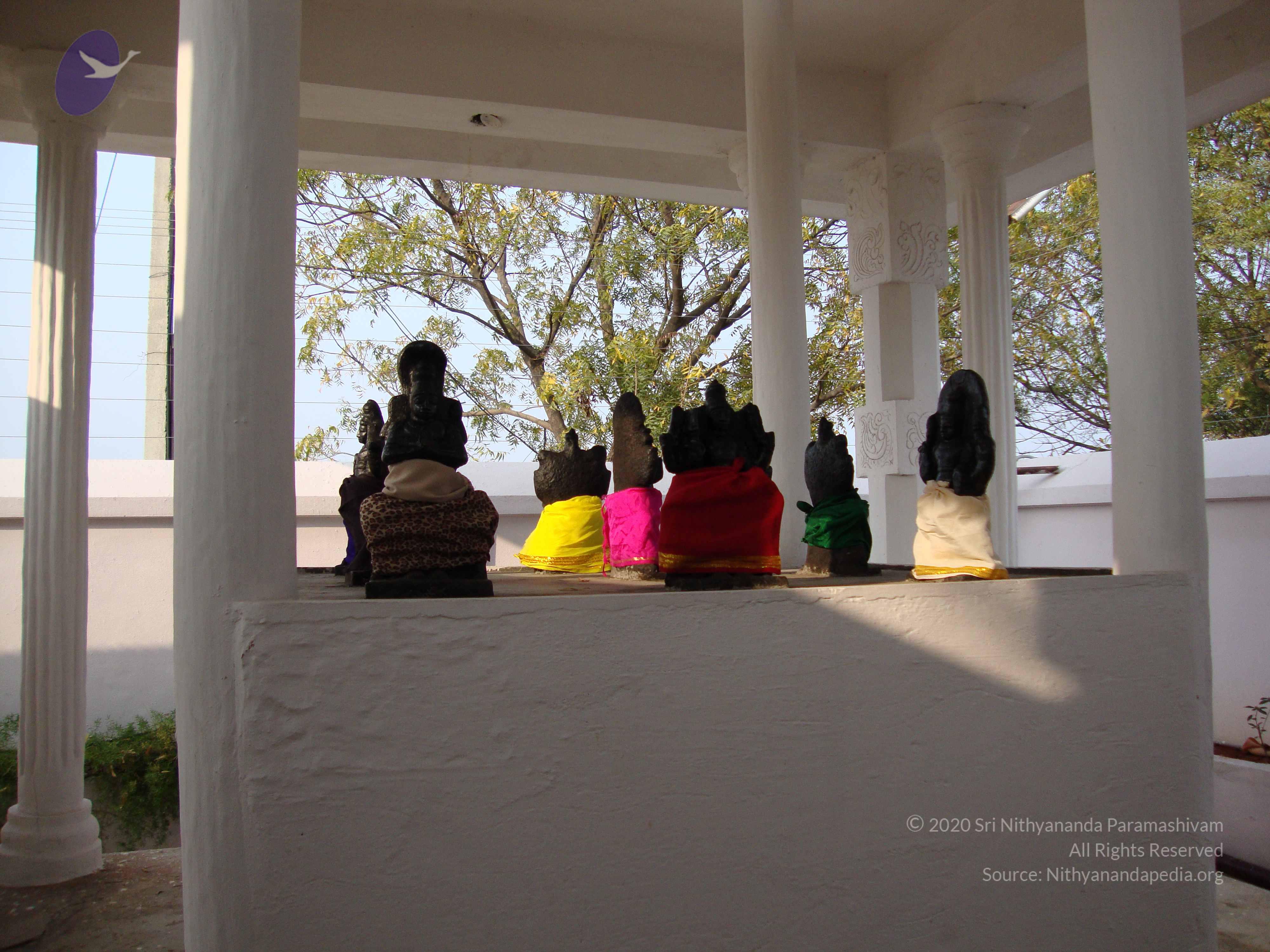 20100926_Photo_1304_DSC00339_CMP_WM