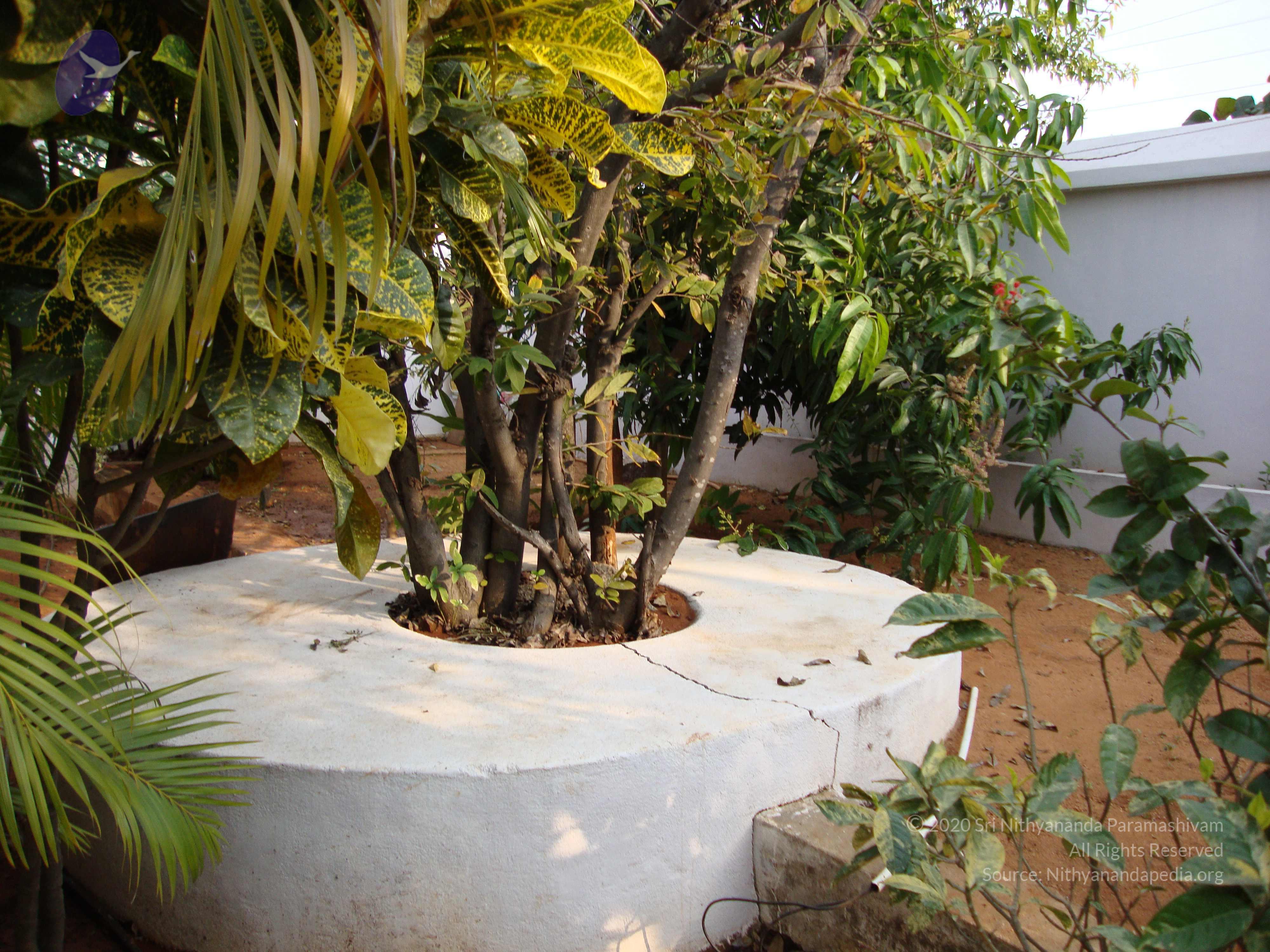 20100926_Photo_1309_DSC00347_CMP_WM