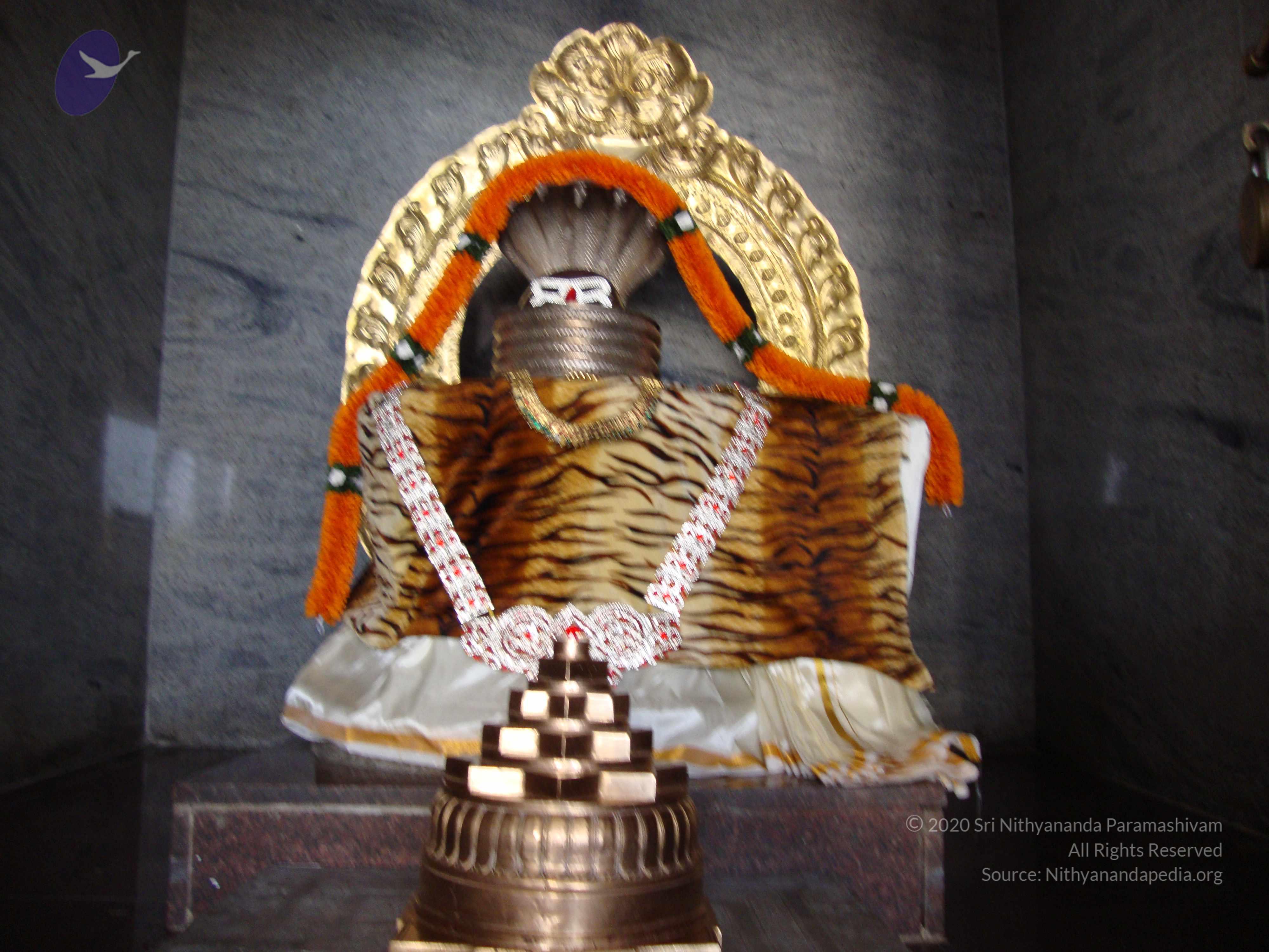 20100926_Photo_1310_DSC00264_CMP_WM