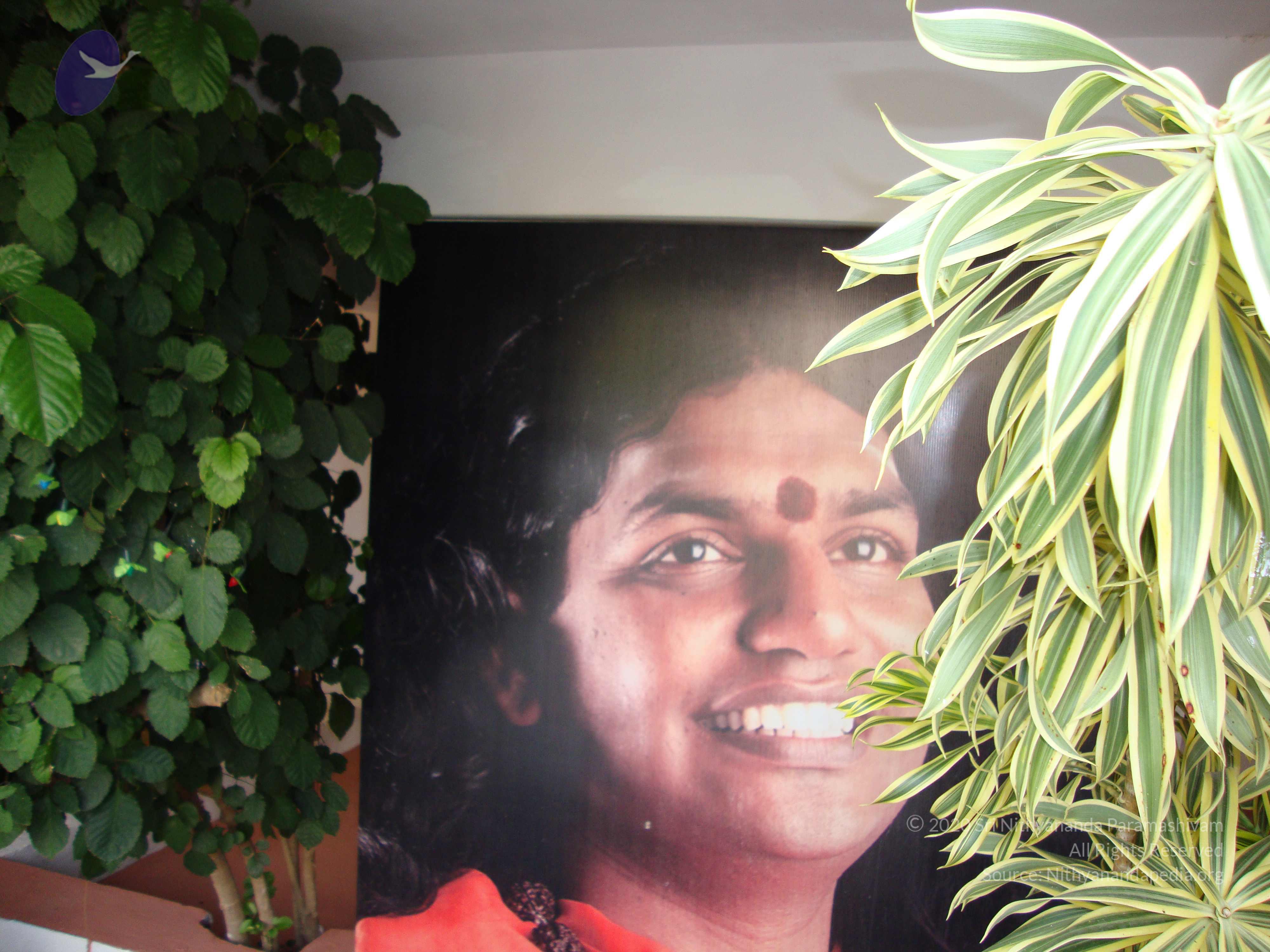 20100926_Photo_1311_DSC00253_CMP_WM